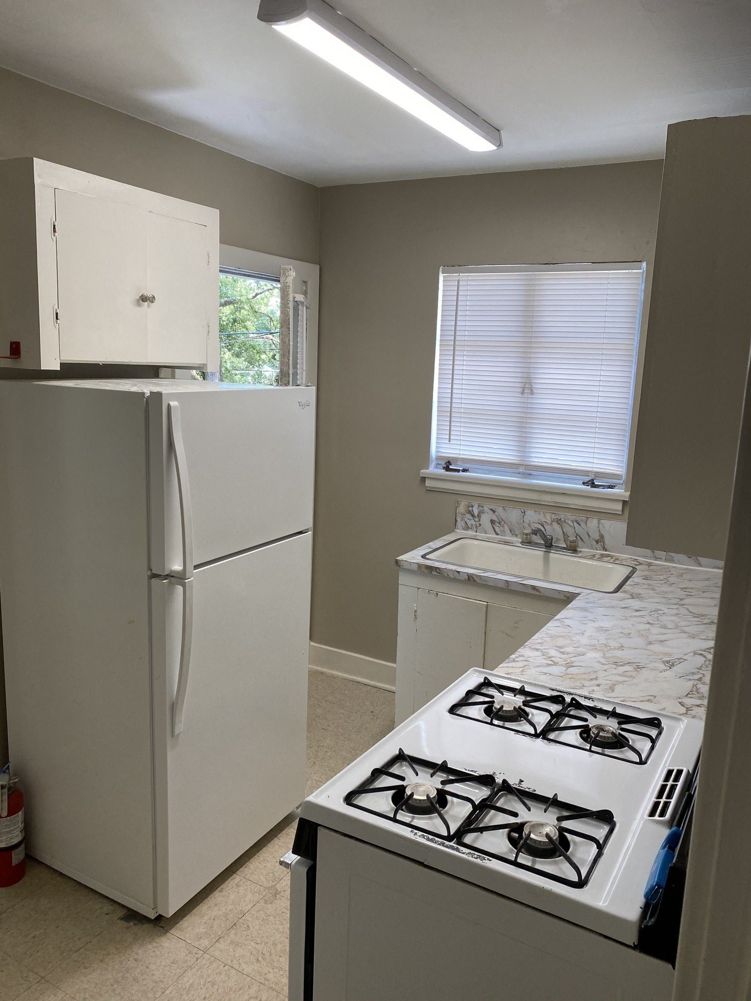 Gallery Photo 5