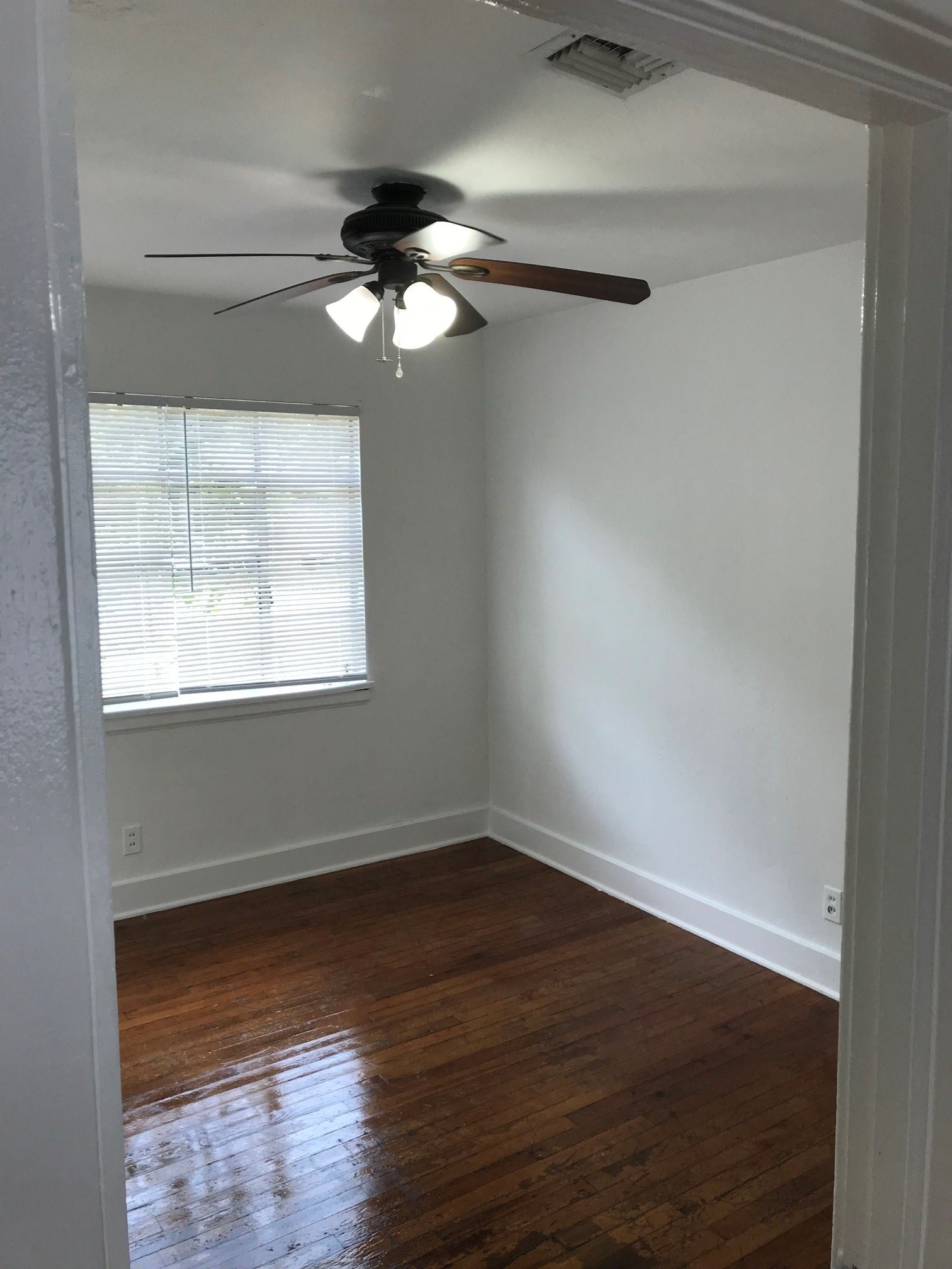 Gallery Photo 4