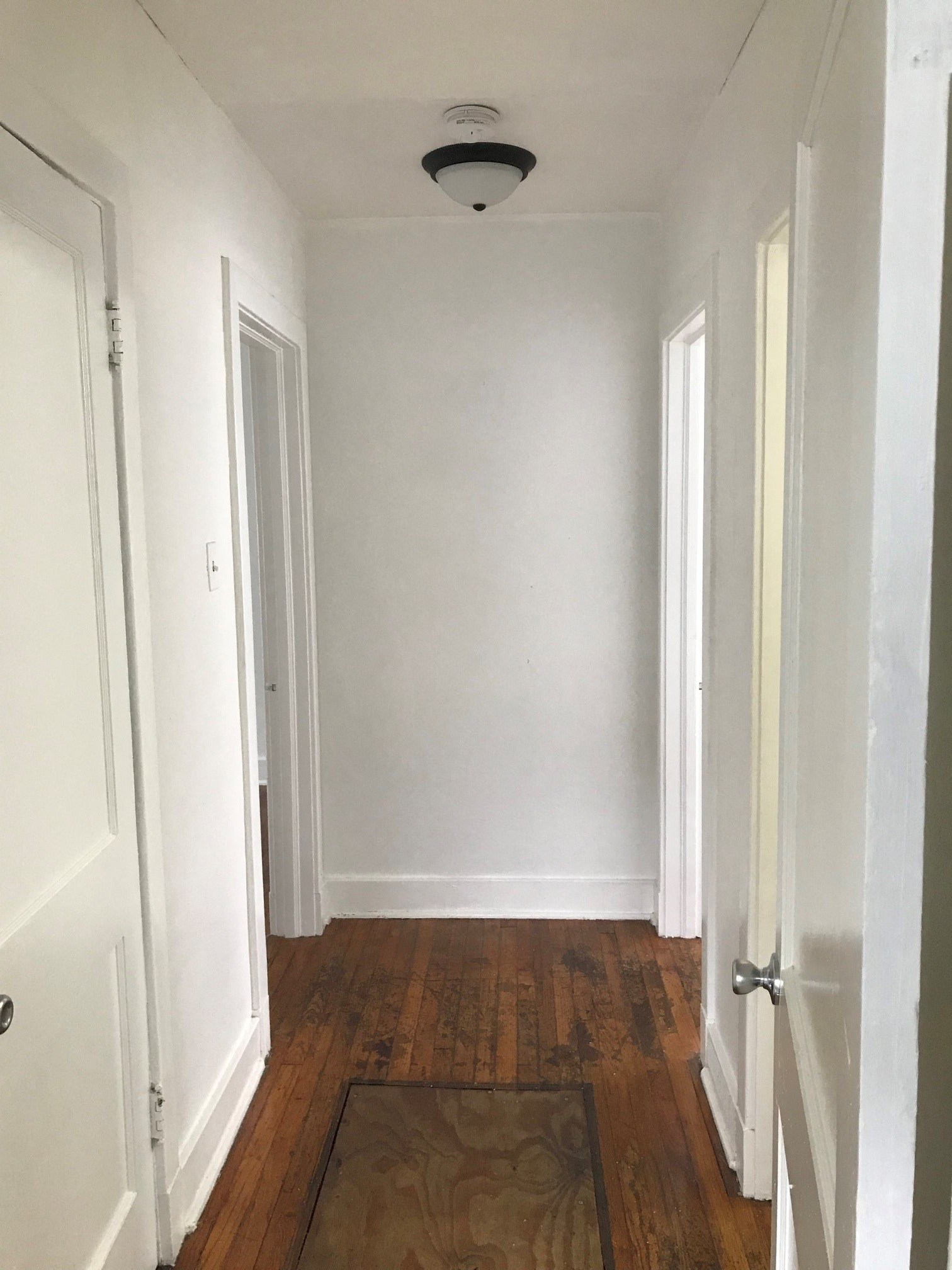 Gallery Photo 8