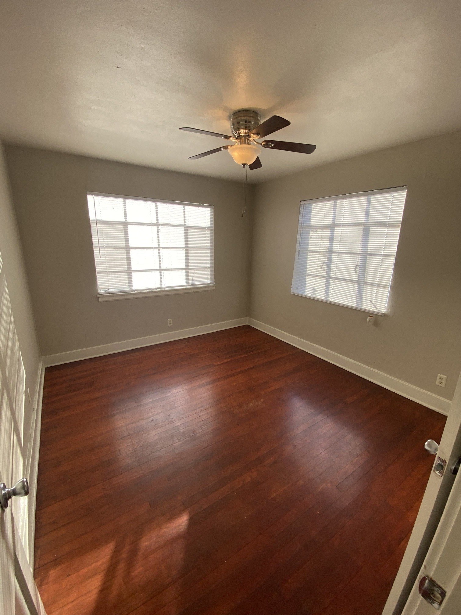 Gallery Photo 6
