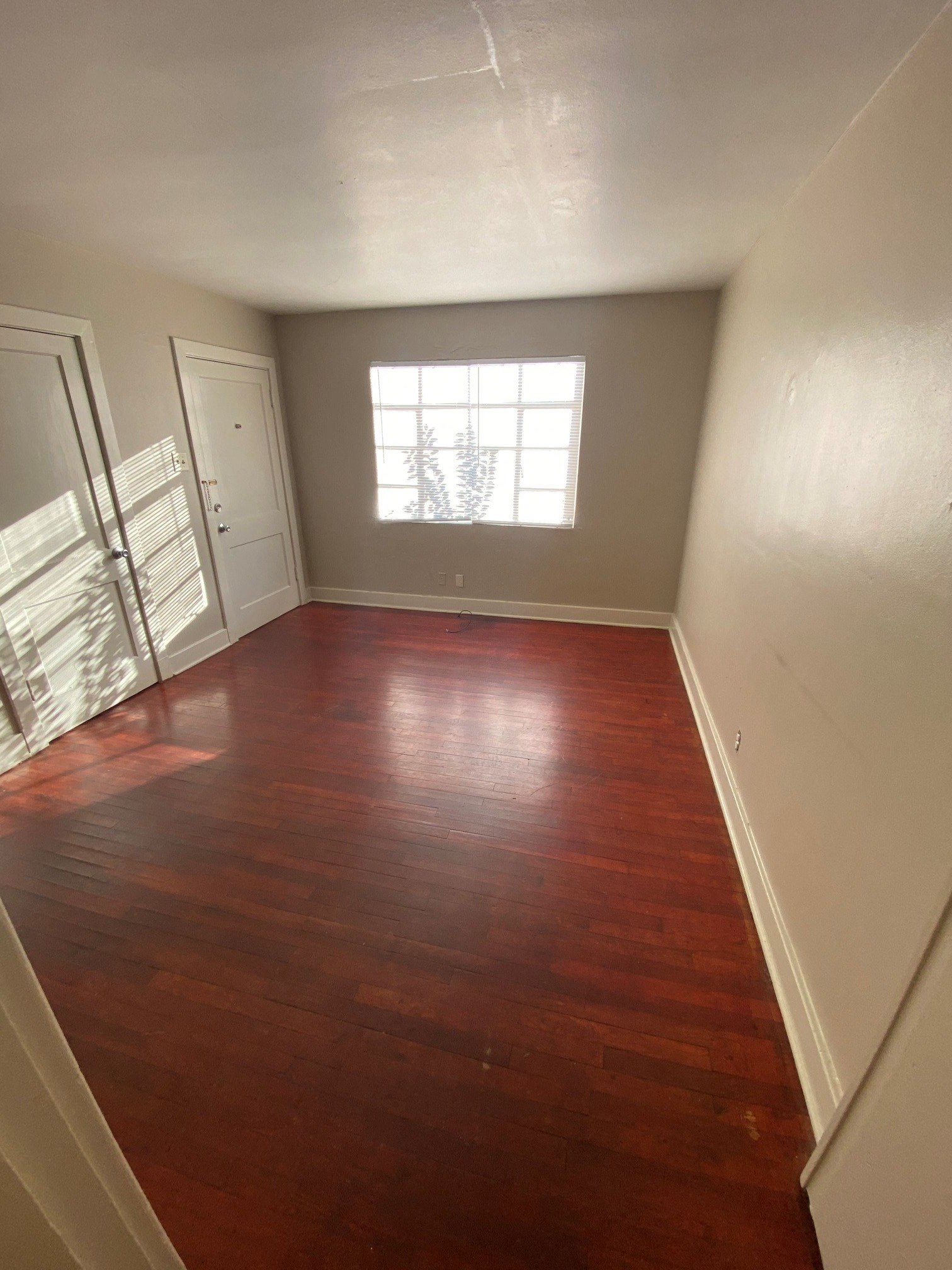 Gallery Photo 3