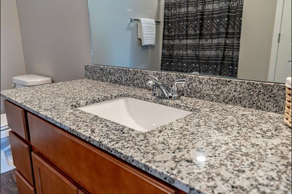 Gallery Photo 11