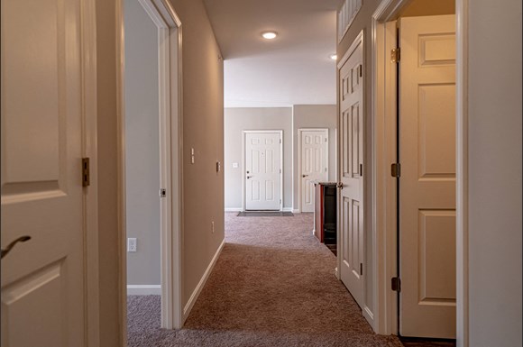 Gallery Photo 19