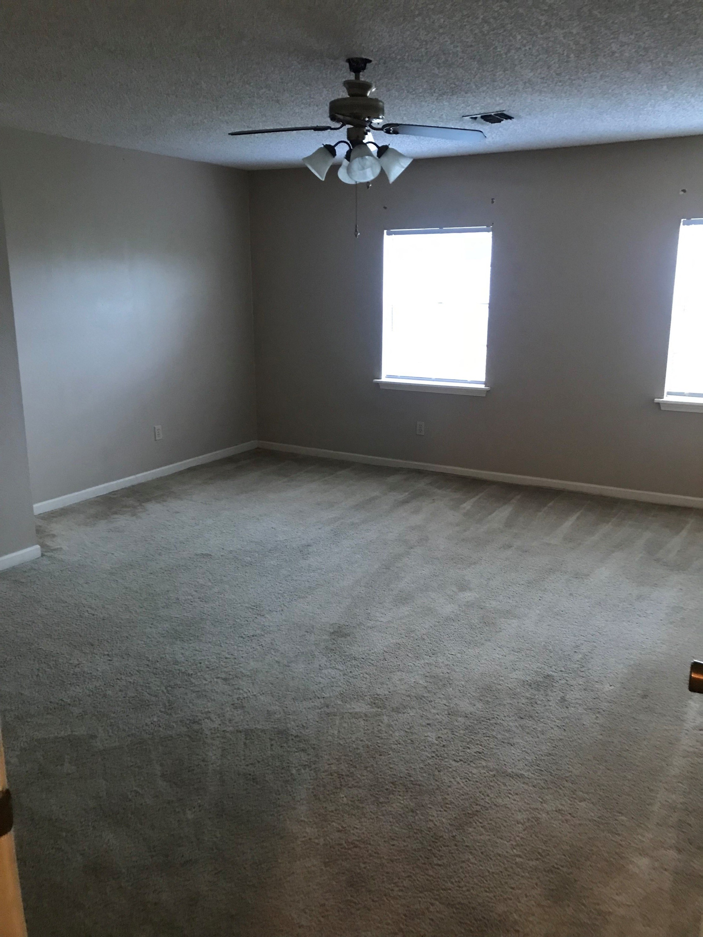 Gallery Photo 5