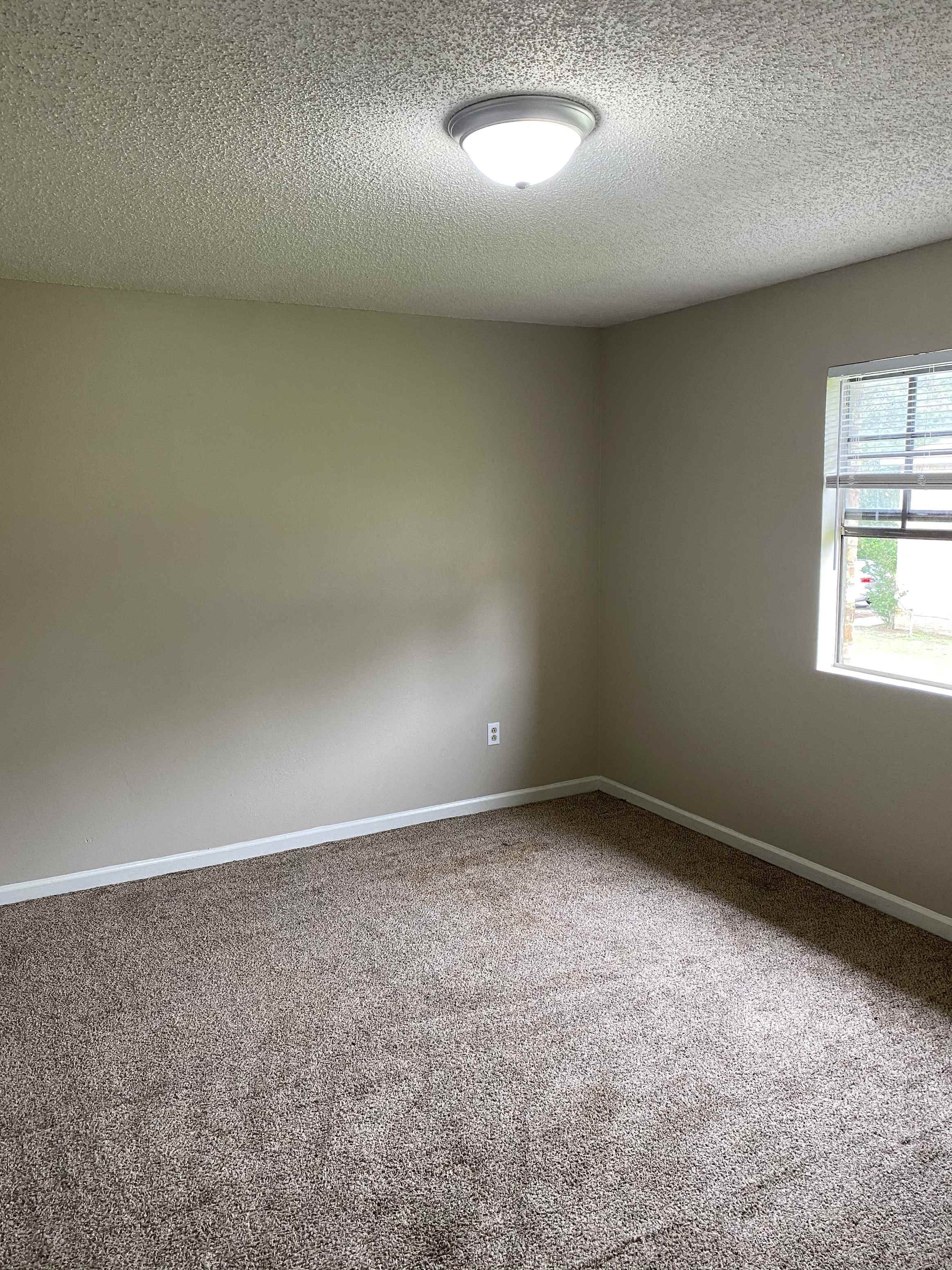 Gallery Photo 3