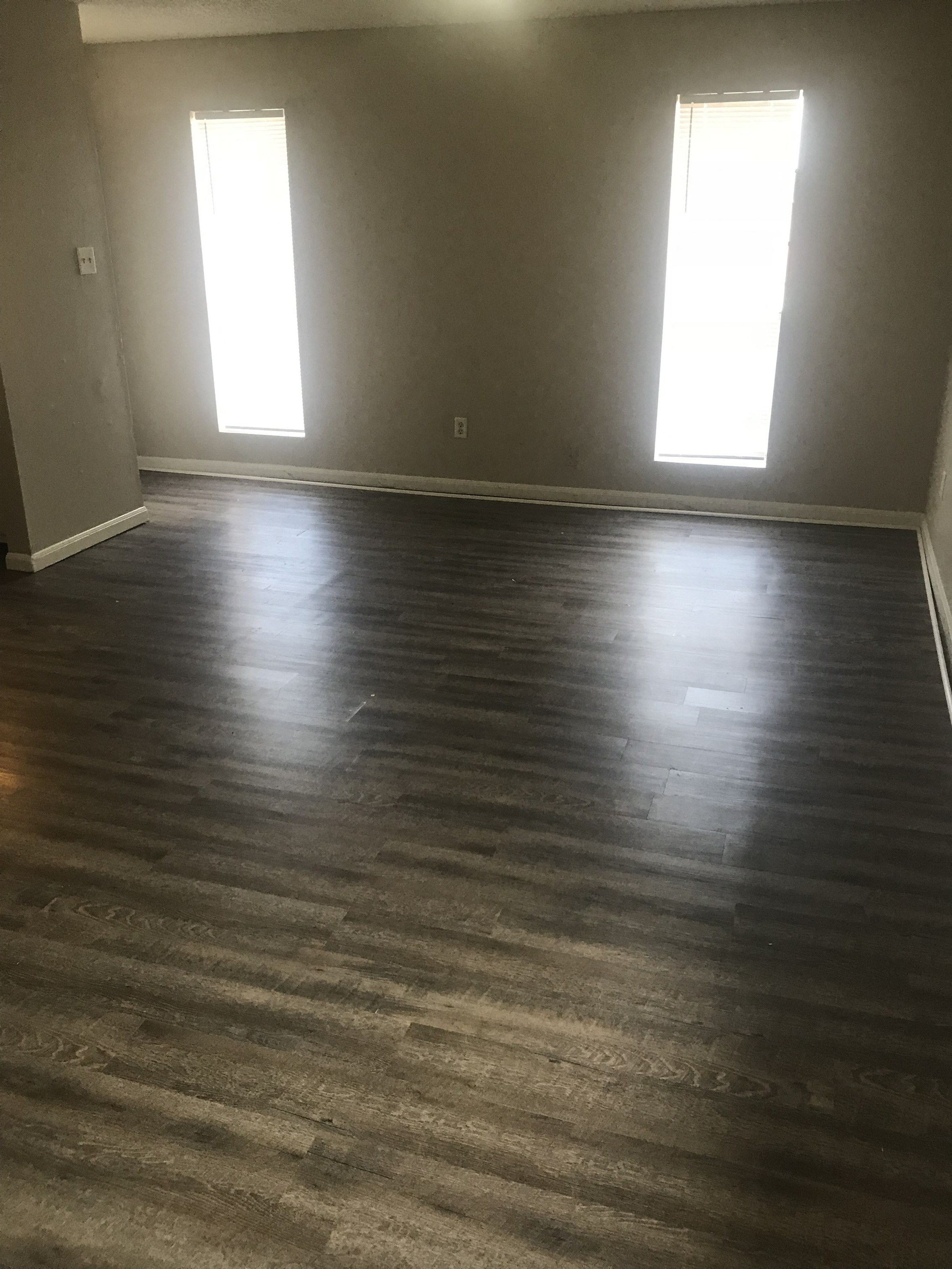 Gallery Photo 5
