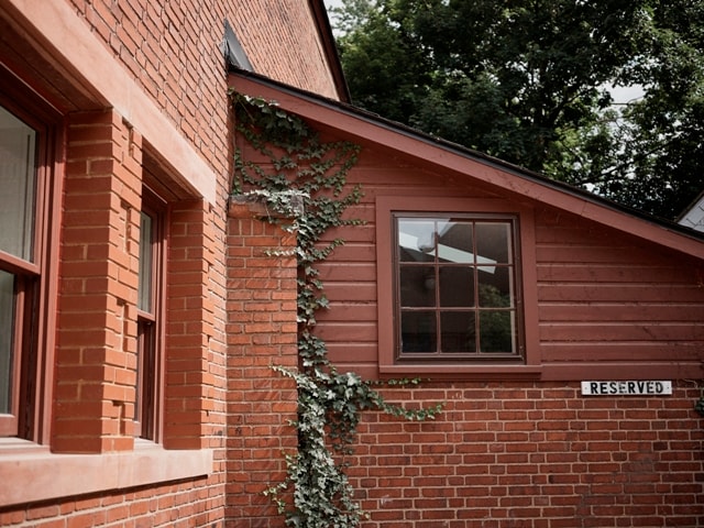 Gallery Photo 22