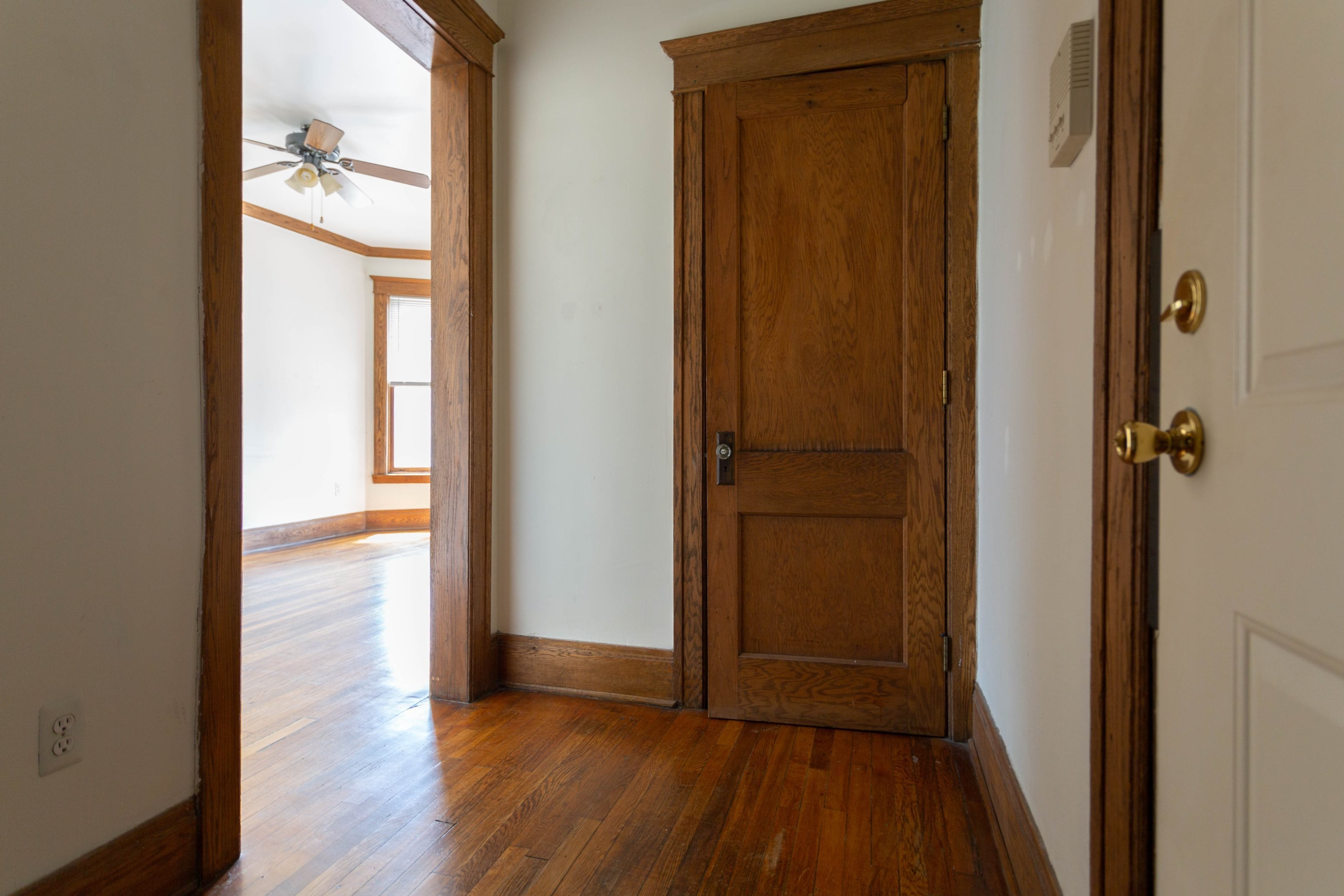 Gallery Photo 15