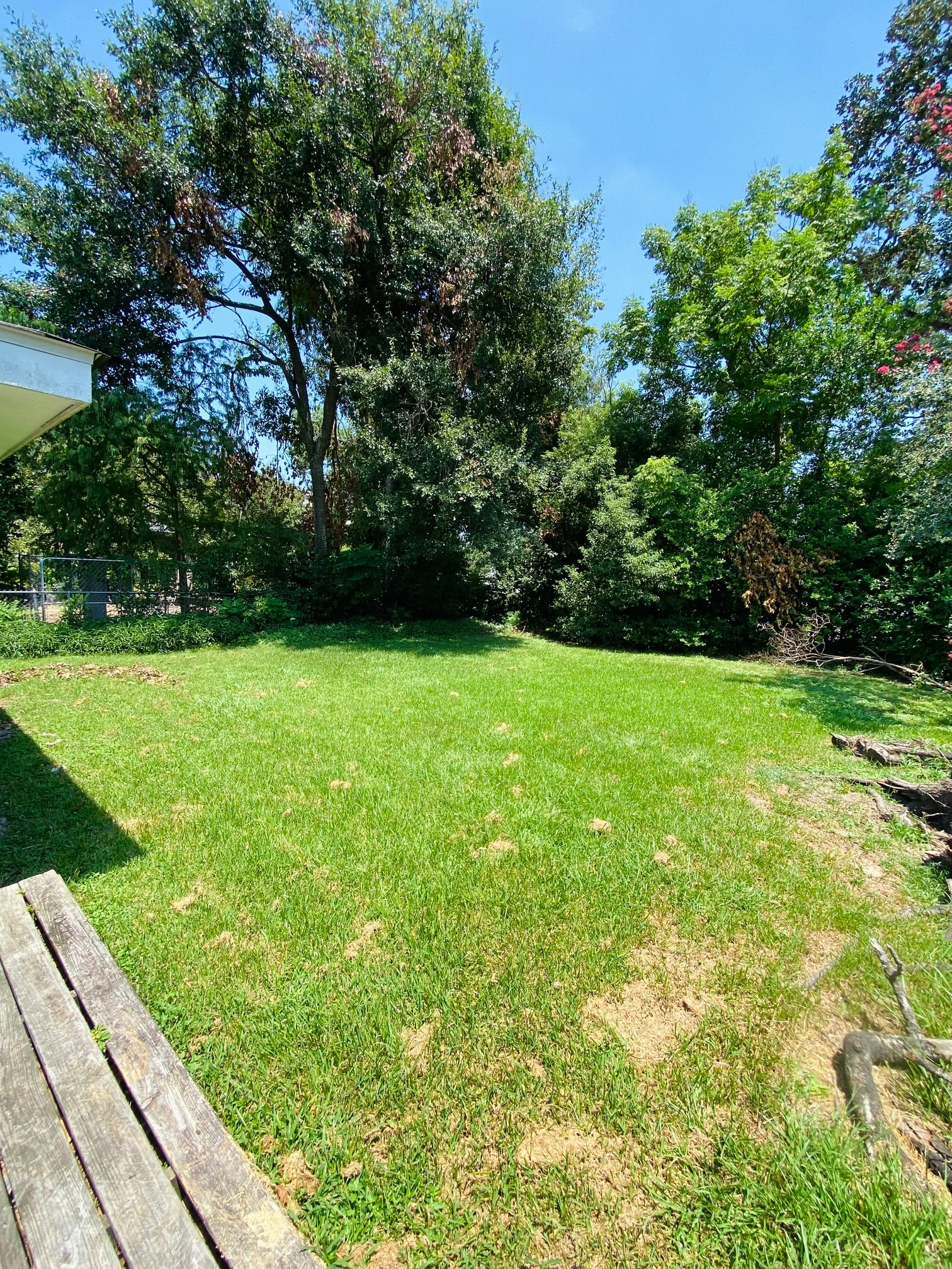 Gallery Photo 11