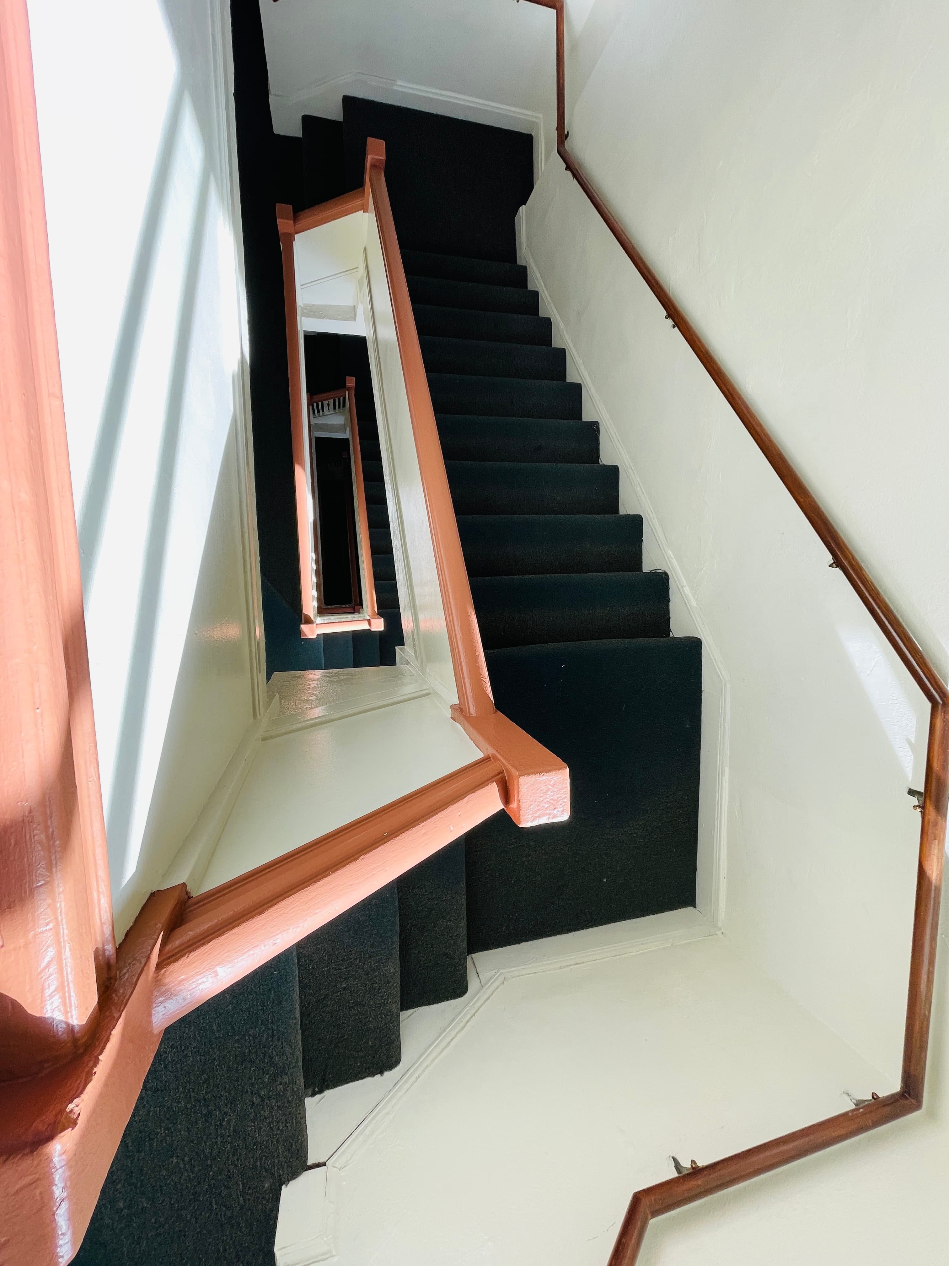 Gallery Photo 5