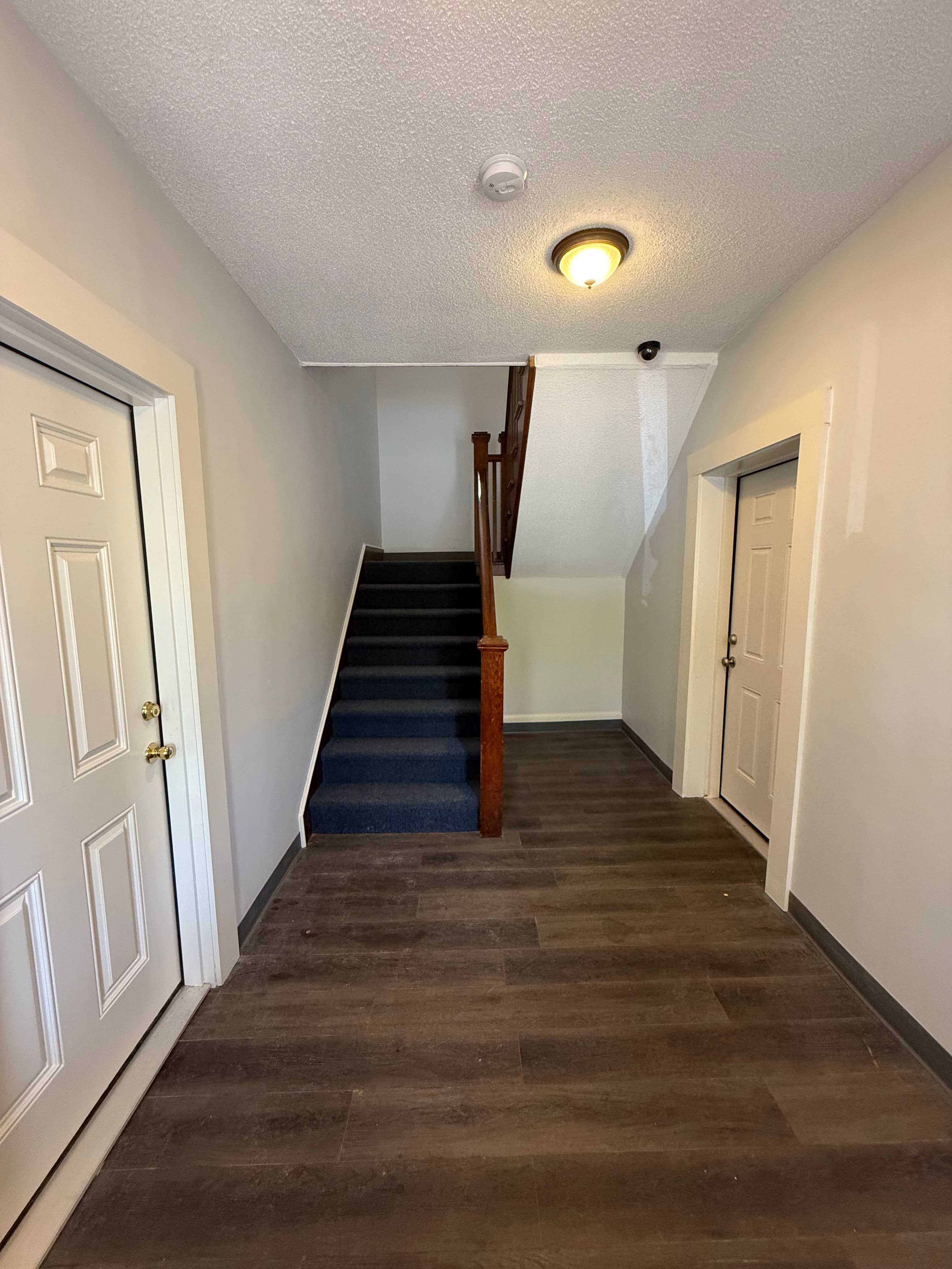 Gallery Photo 11