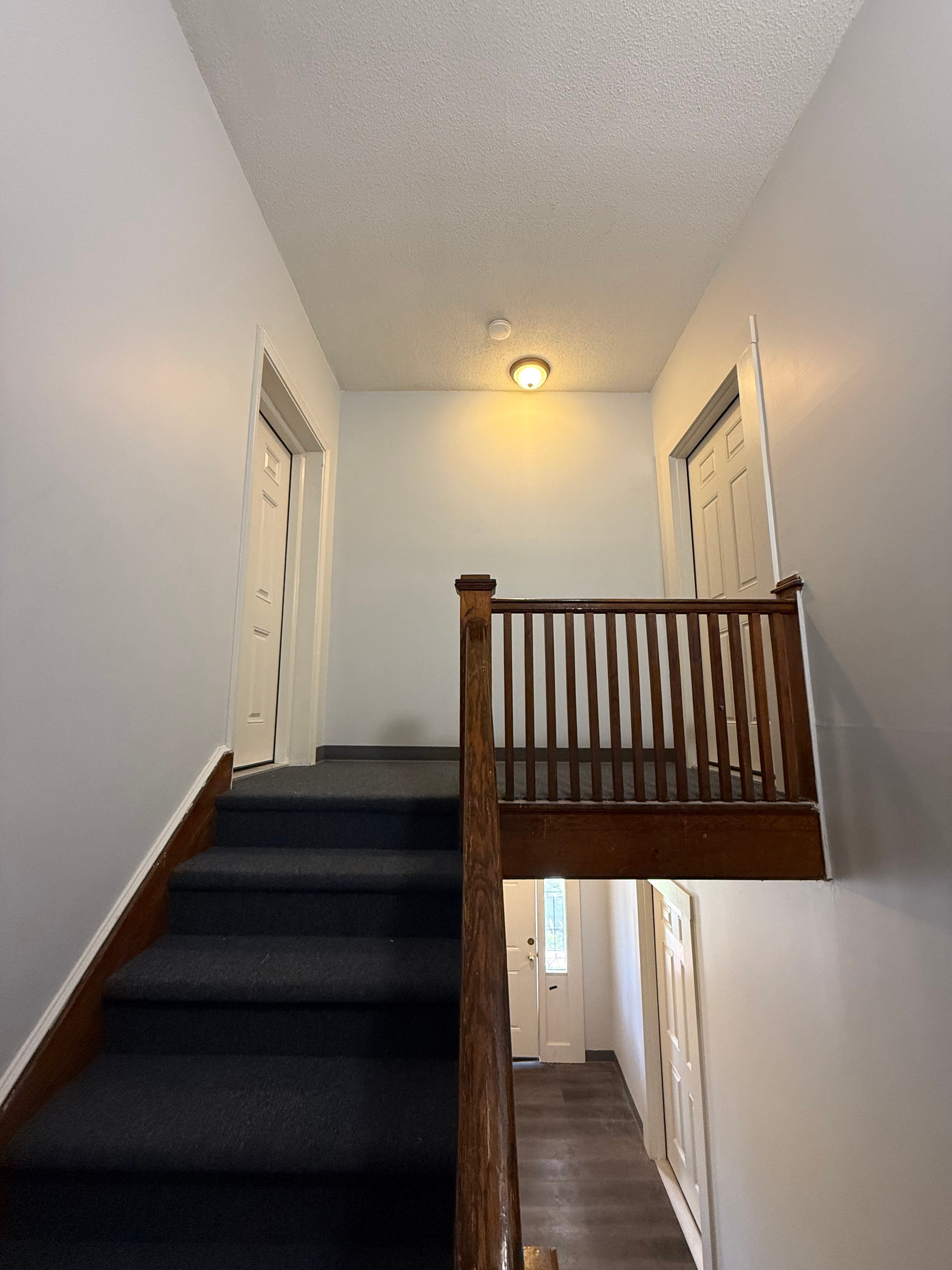 Gallery Photo 15