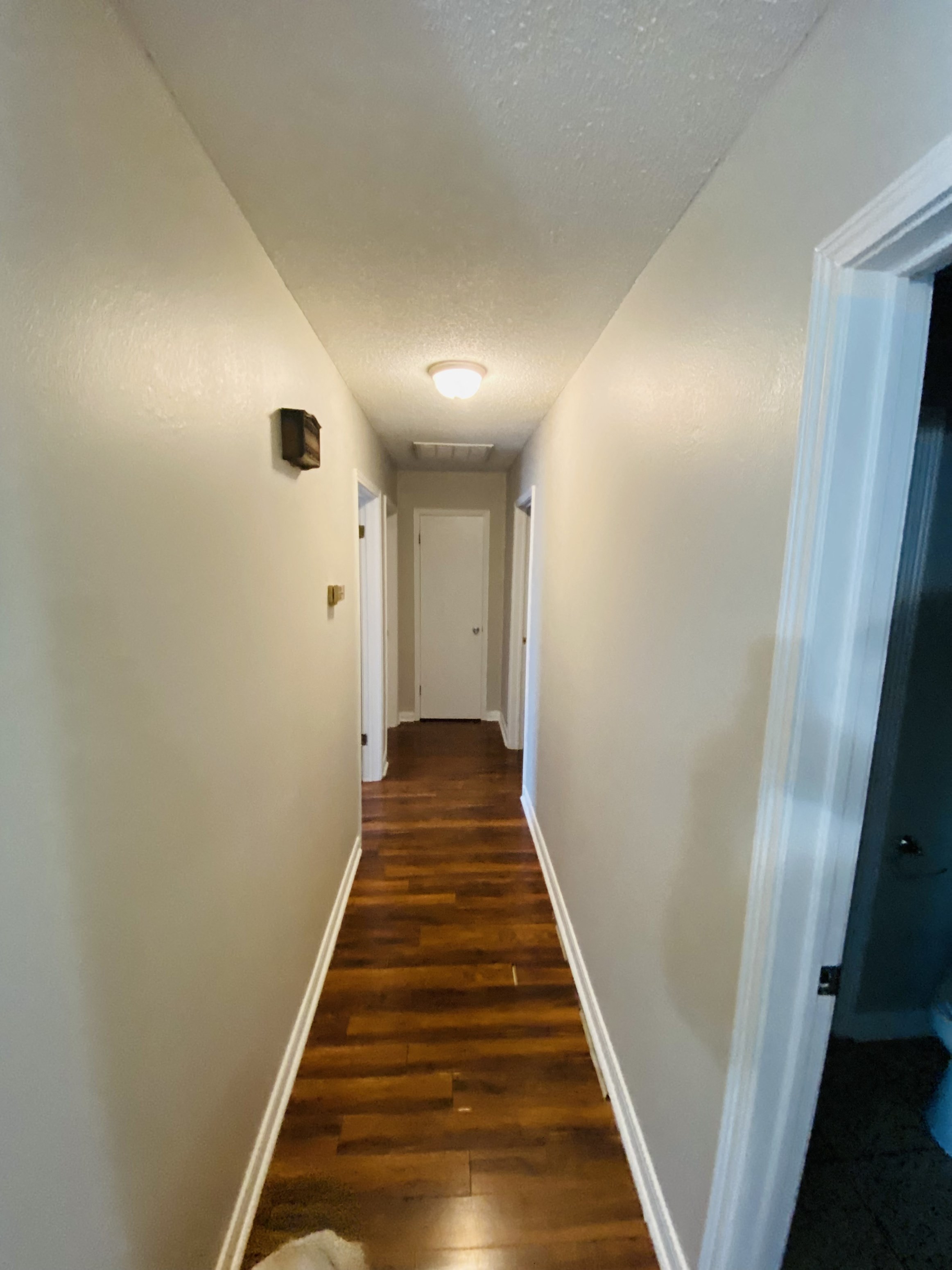 Gallery Photo 2
