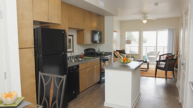 Gallery Photo 7