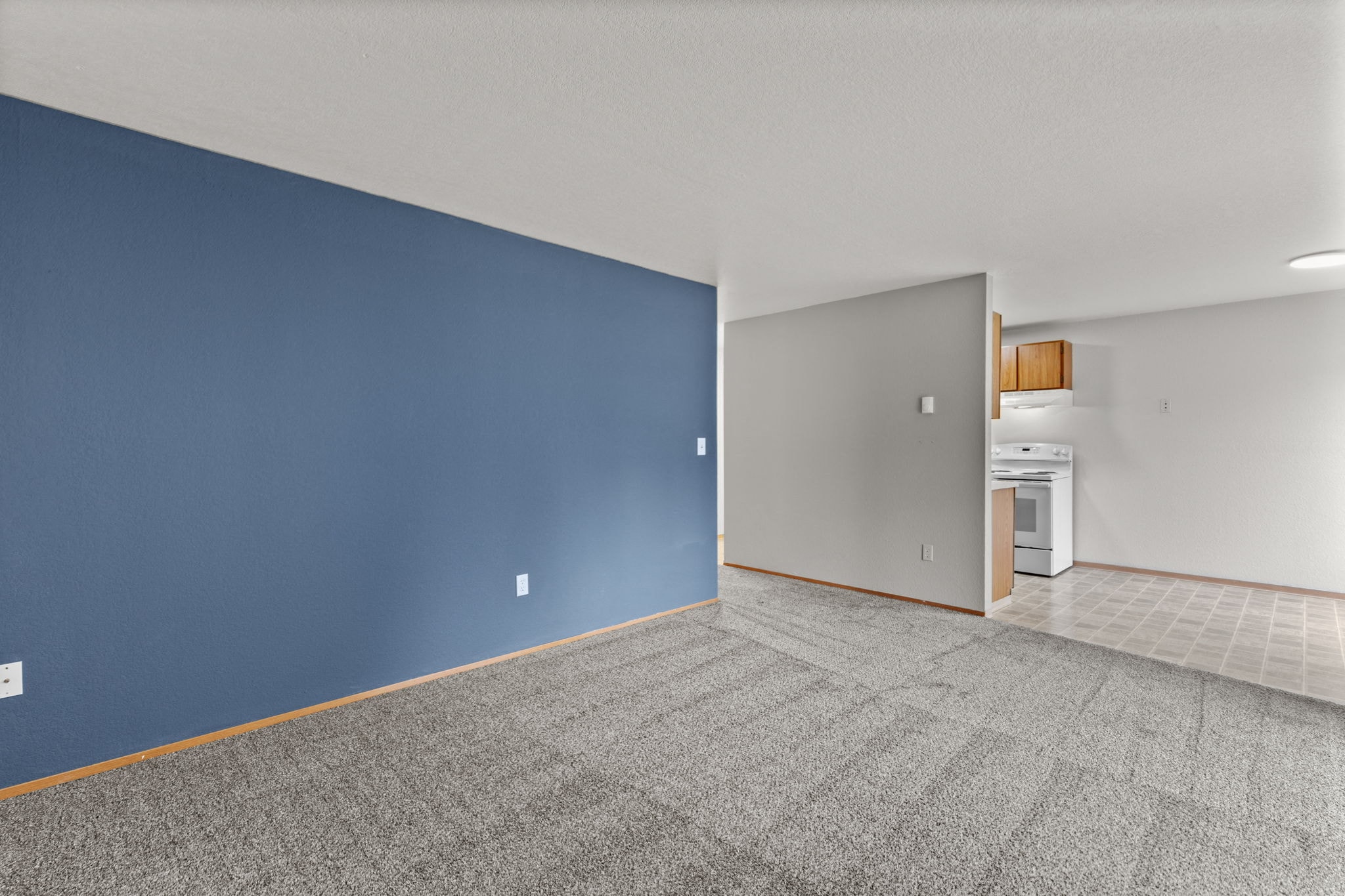 Gallery Photo 33