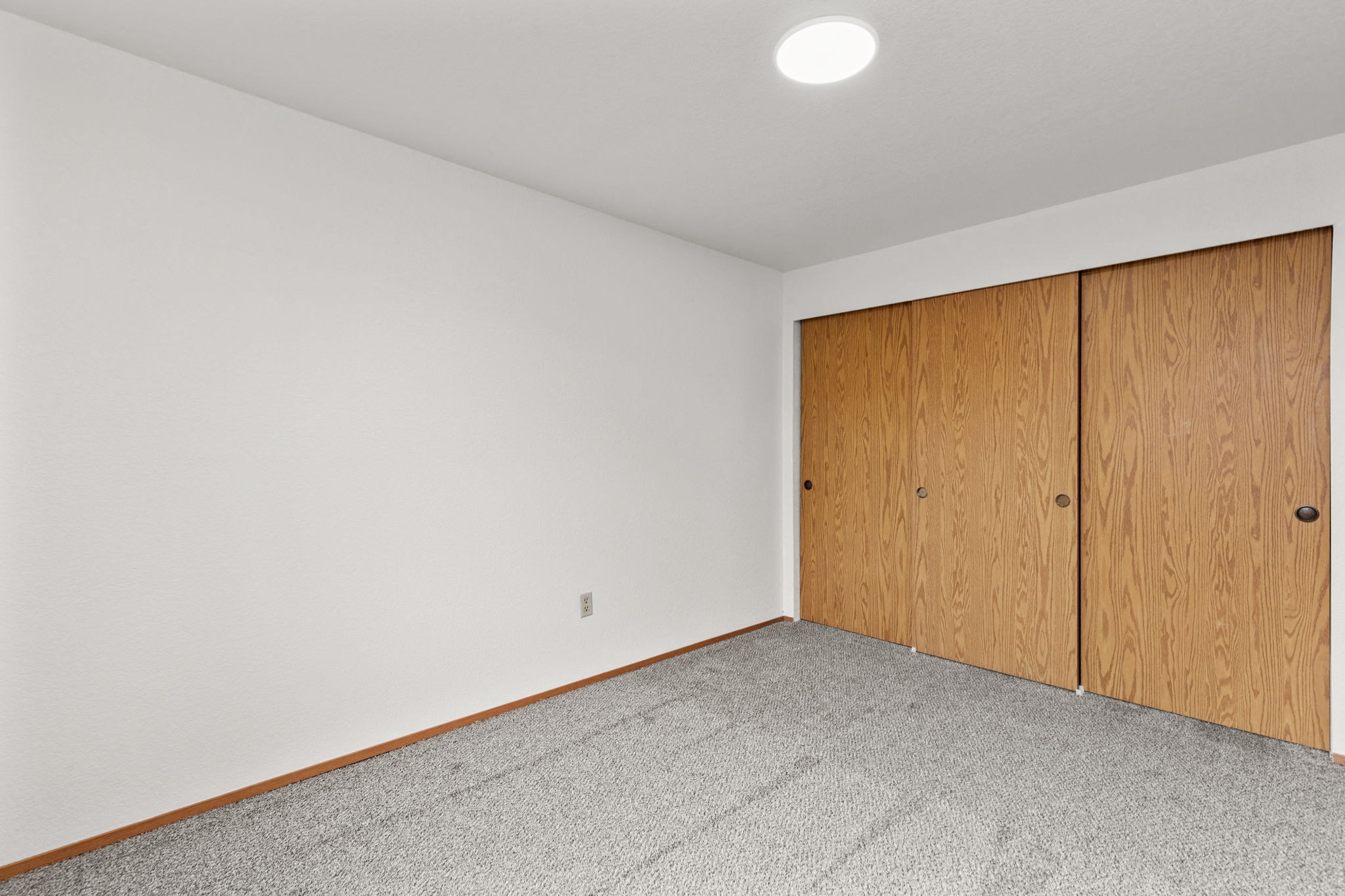 Gallery Photo 18
