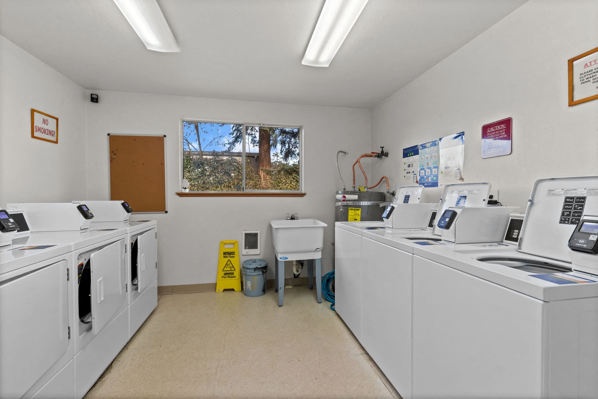 Gallery Photo 9