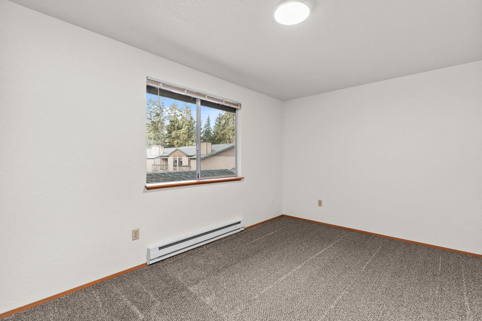 Gallery Photo 2
