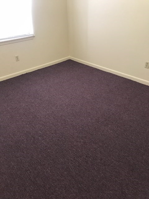 Gallery Photo 2