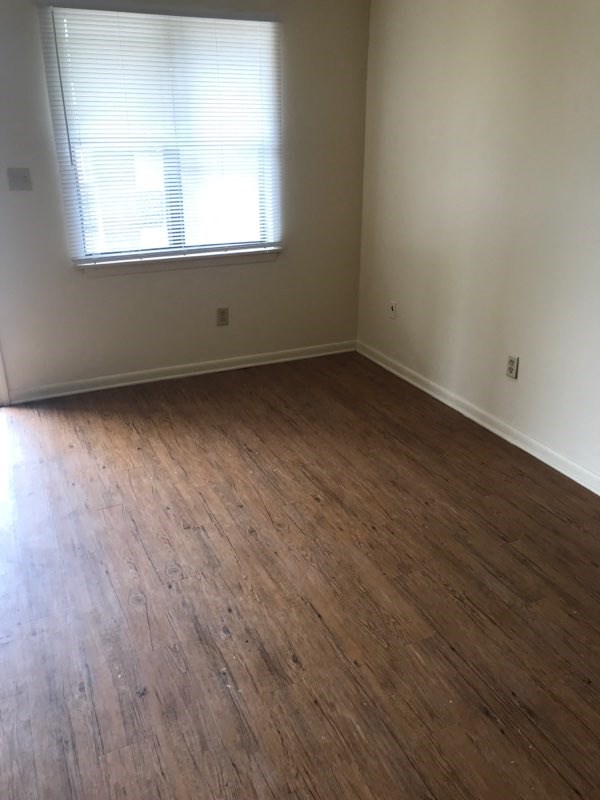 Gallery Photo 5