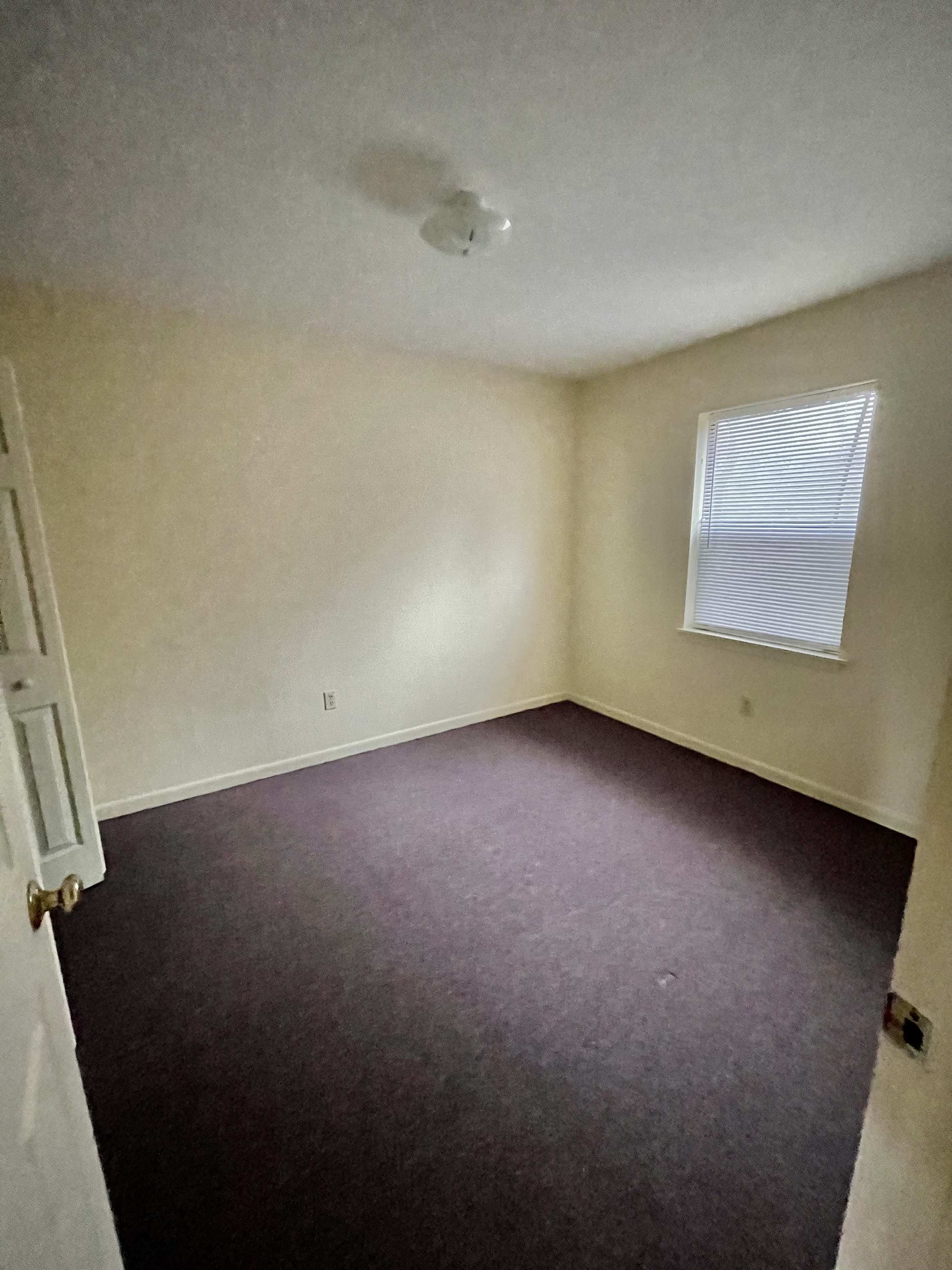Gallery Photo 6