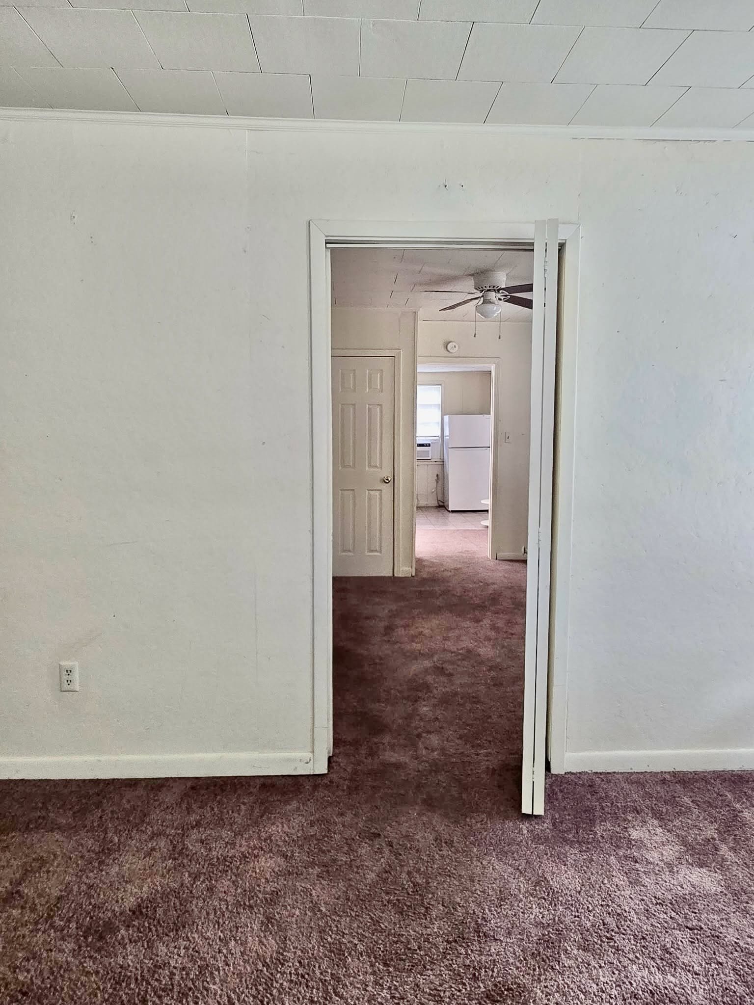 Gallery Photo 6