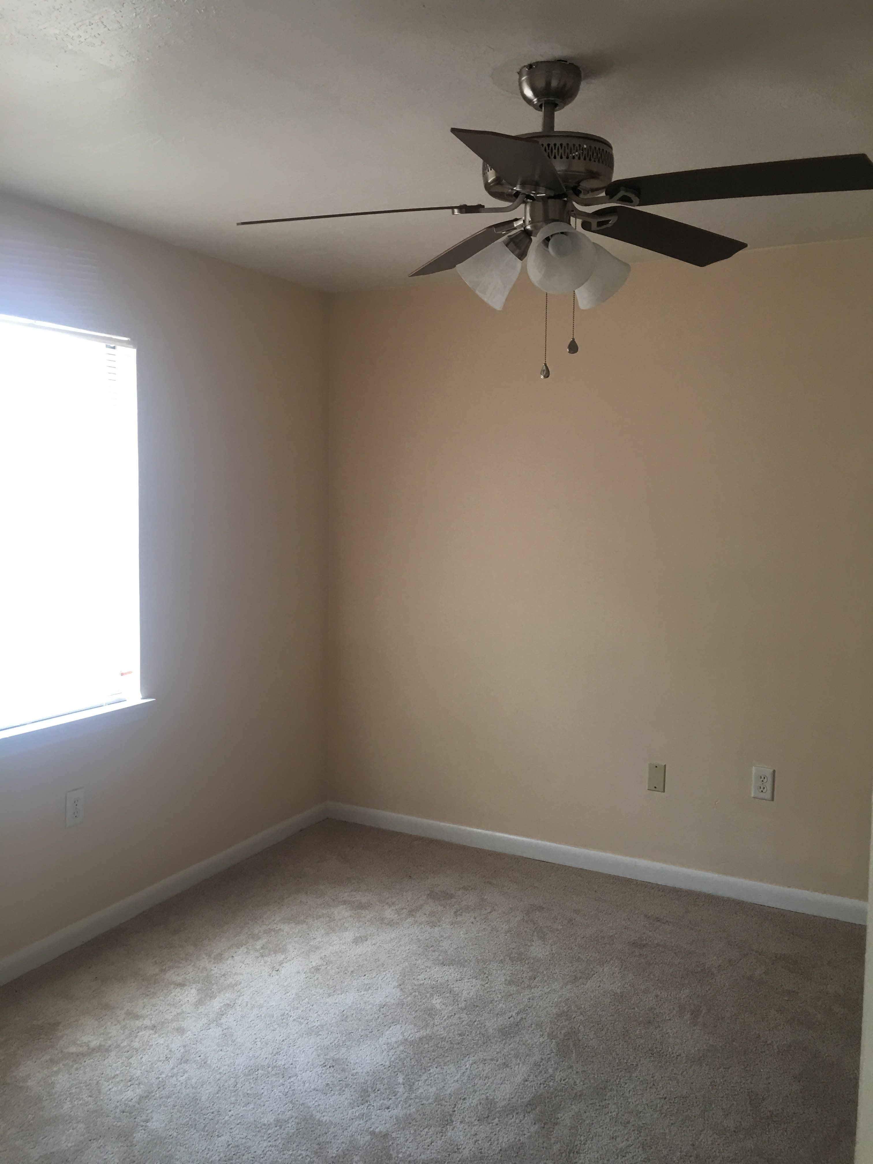 Gallery Photo 5