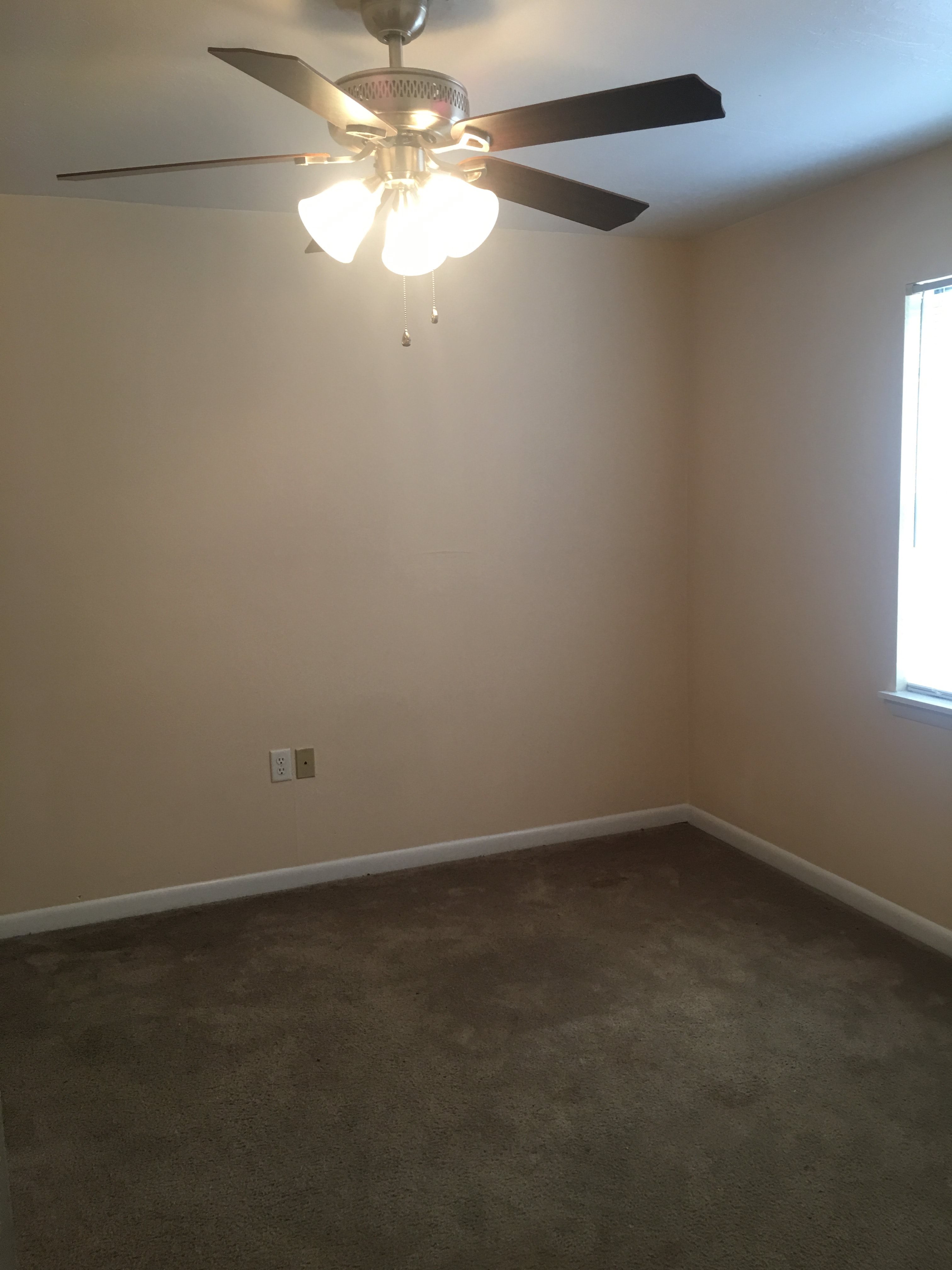 Gallery Photo 4