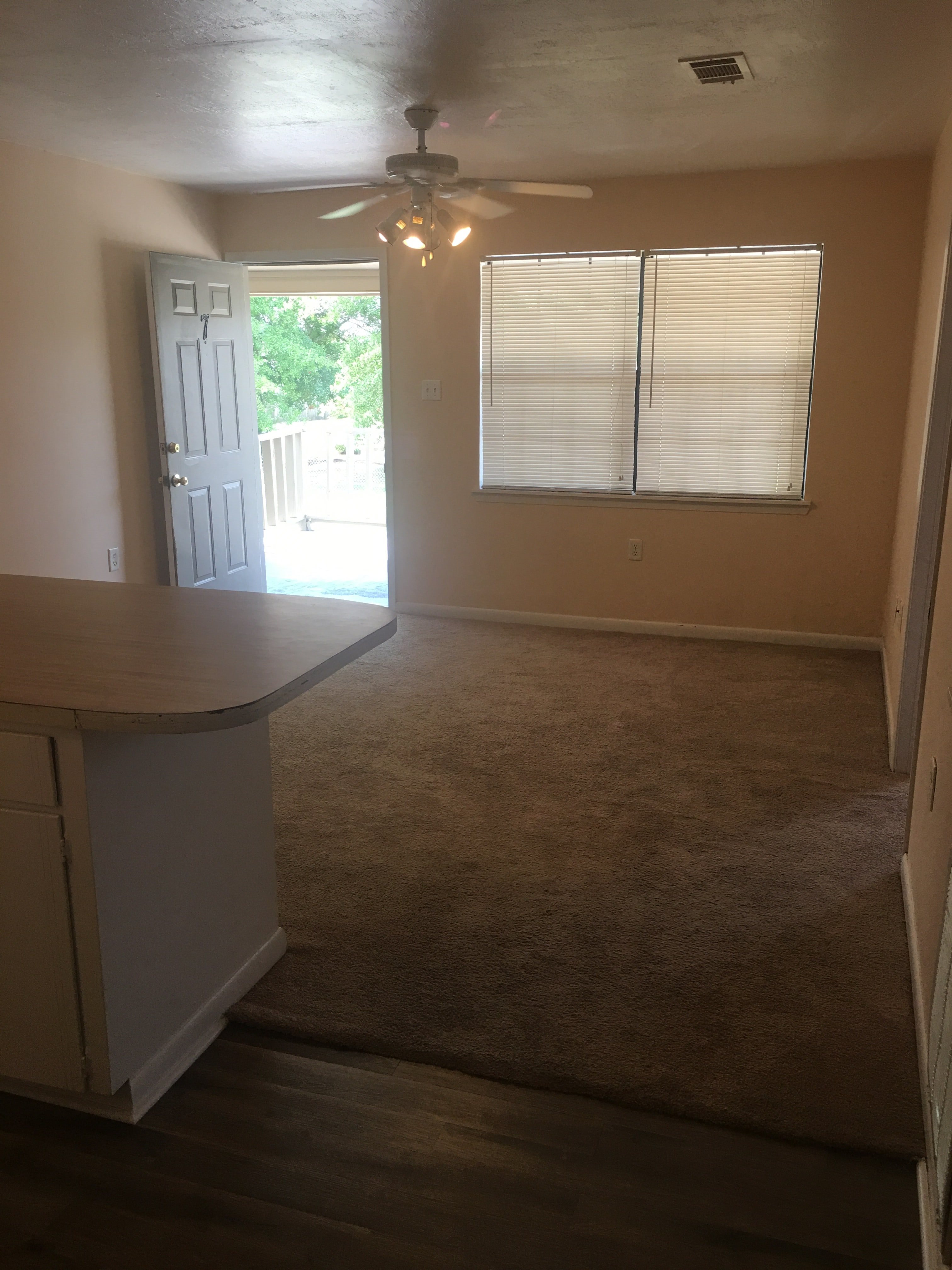 Gallery Photo 6