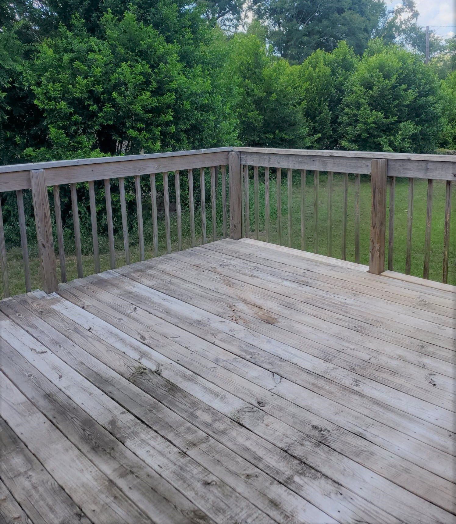 Gallery Photo 17