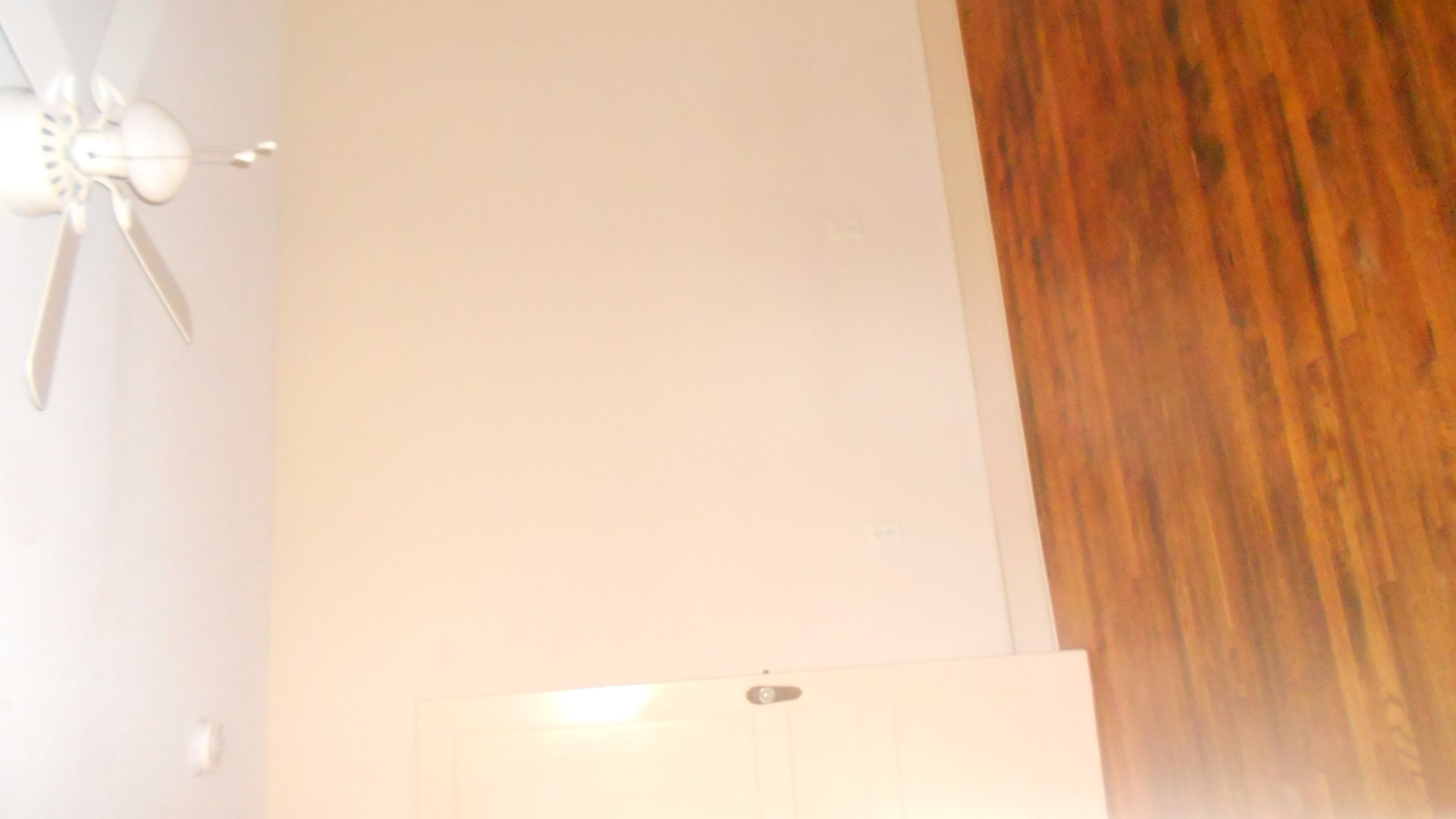 Gallery Photo 6