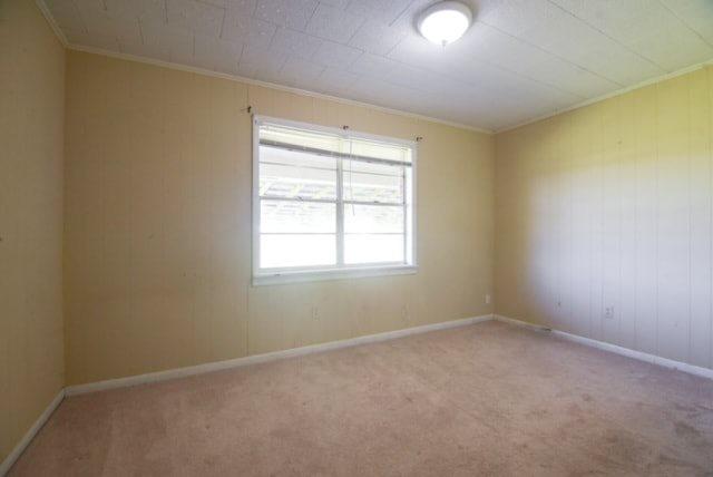 Gallery Photo 18