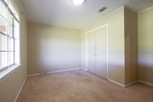 Gallery Photo 14
