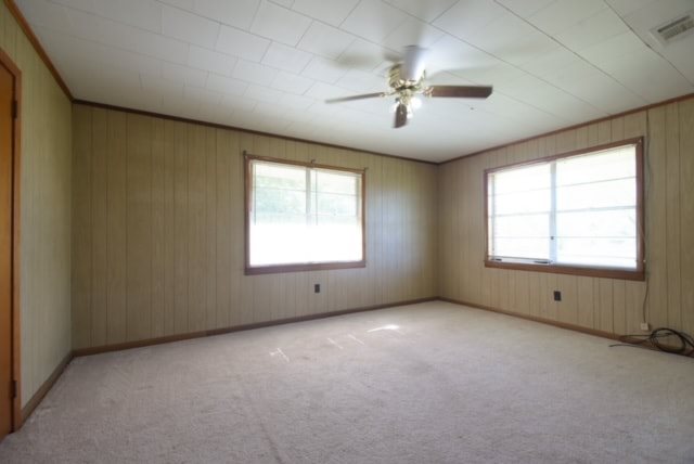Gallery Photo 13