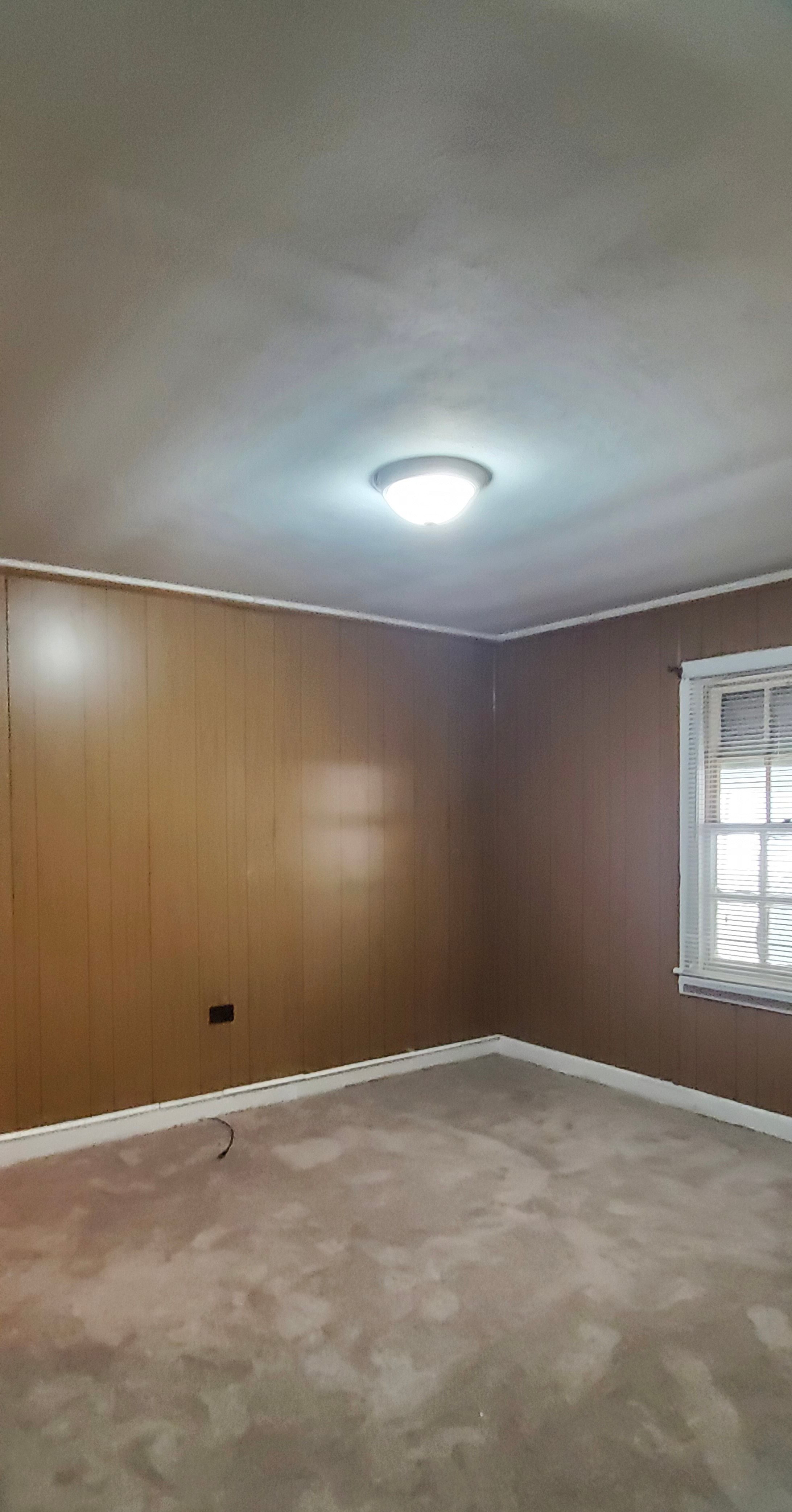 Gallery Photo 2