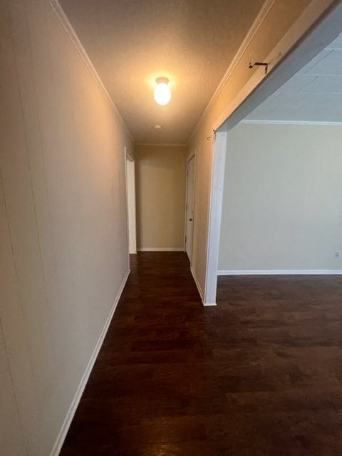 Gallery Photo 1