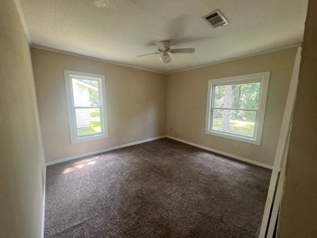 Gallery Photo 4
