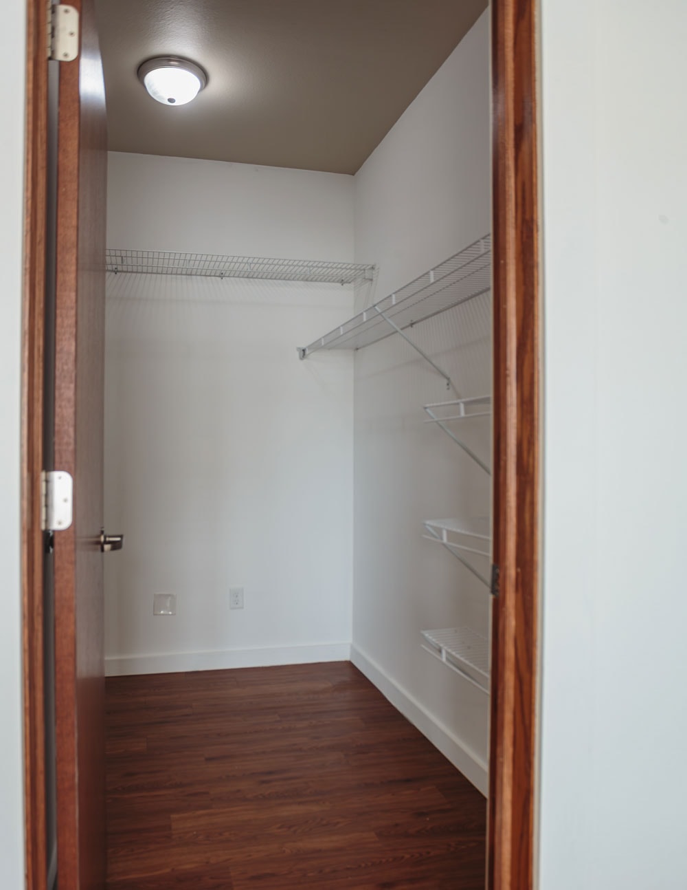 Gallery Photo 6