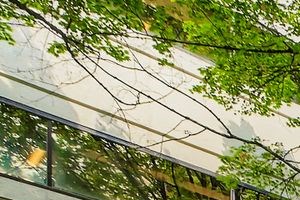 Modern Apartments in Downtown Portland, OR - Linc301 - Outdoor Lounge With Pergolas, Chaise Lounges, Hanging Egg Chairs, Potted Plants, Metal Fence, and Mature Trees.