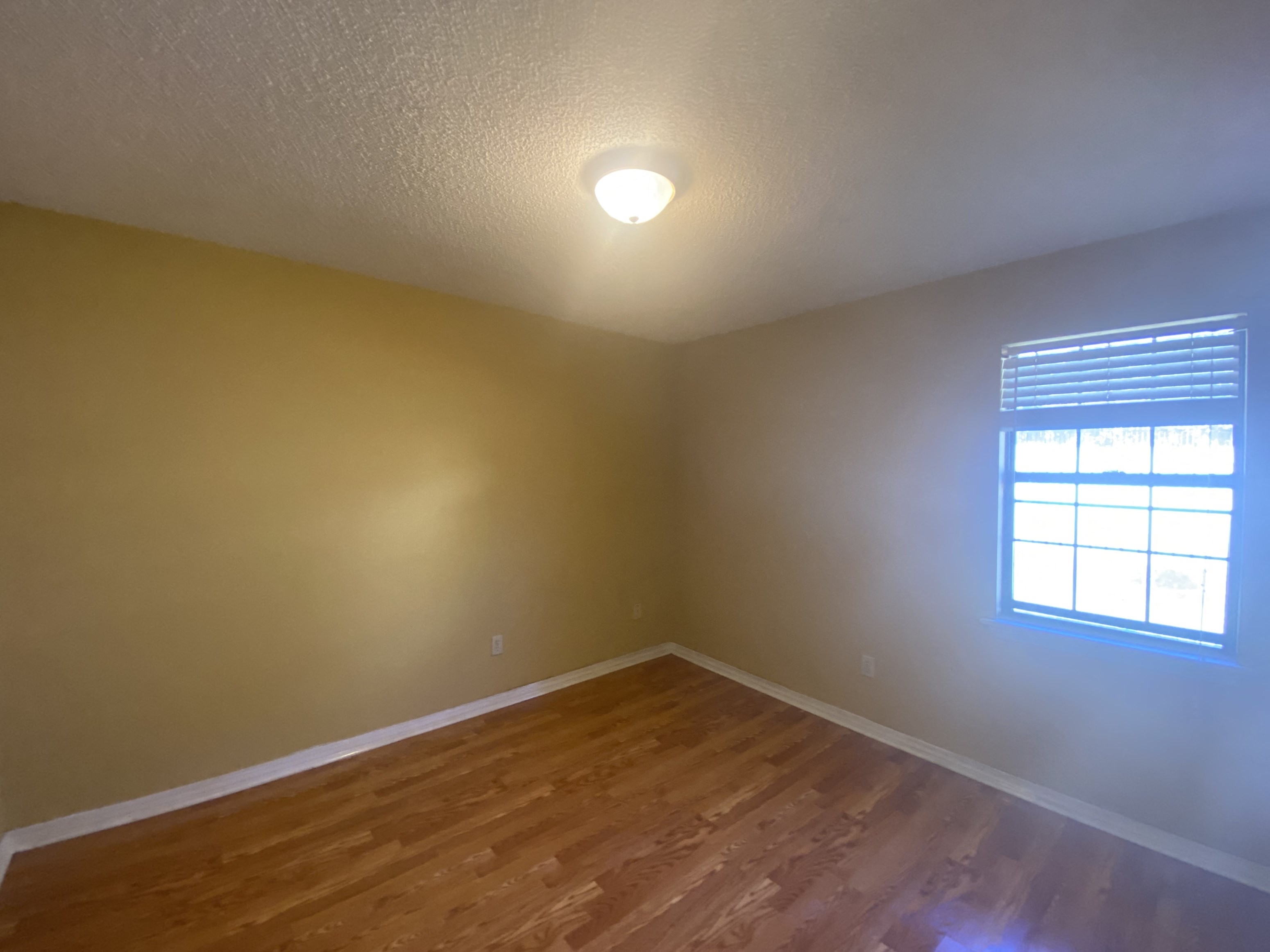 Gallery Photo 4