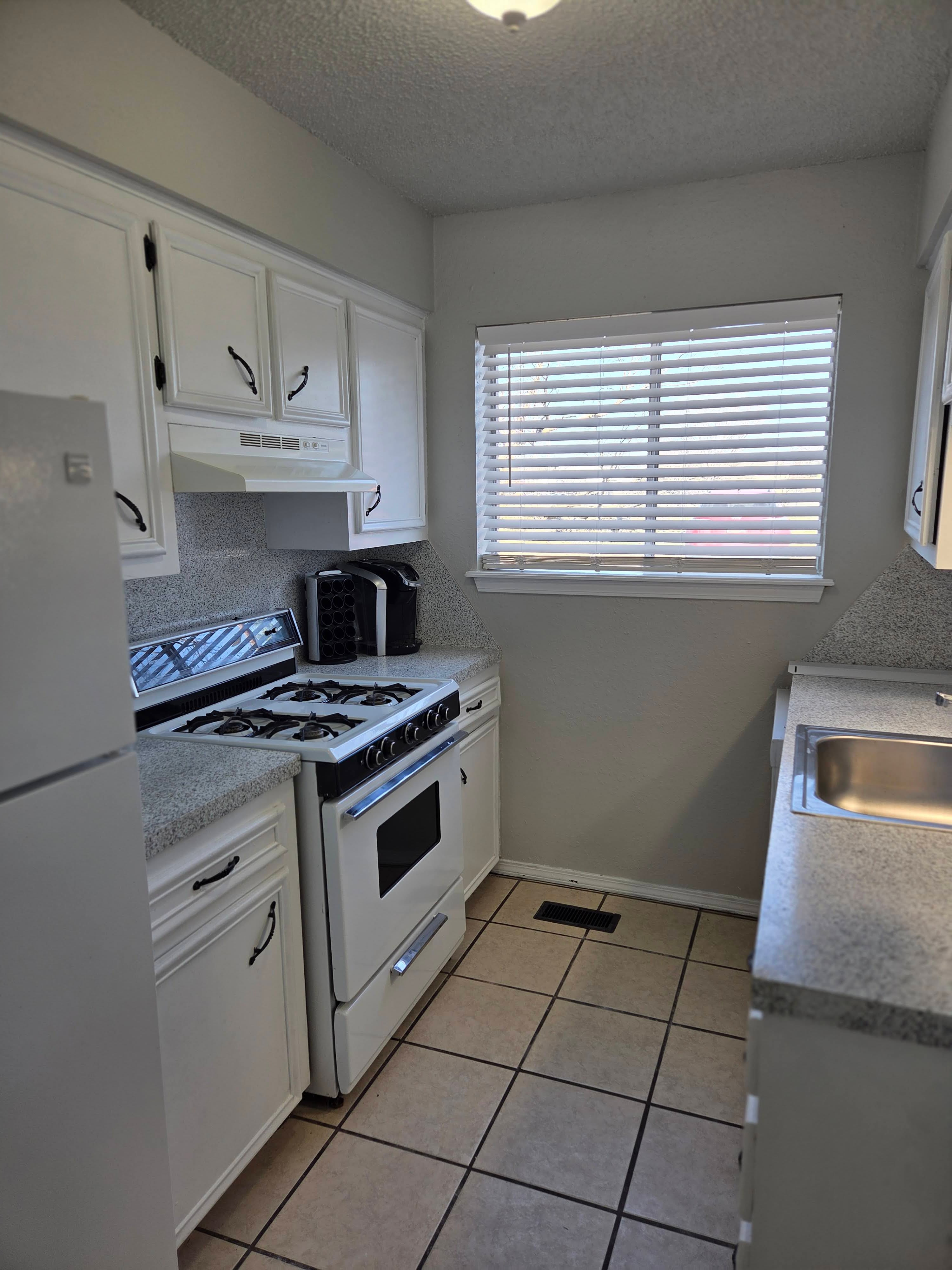 Gallery Photo 16
