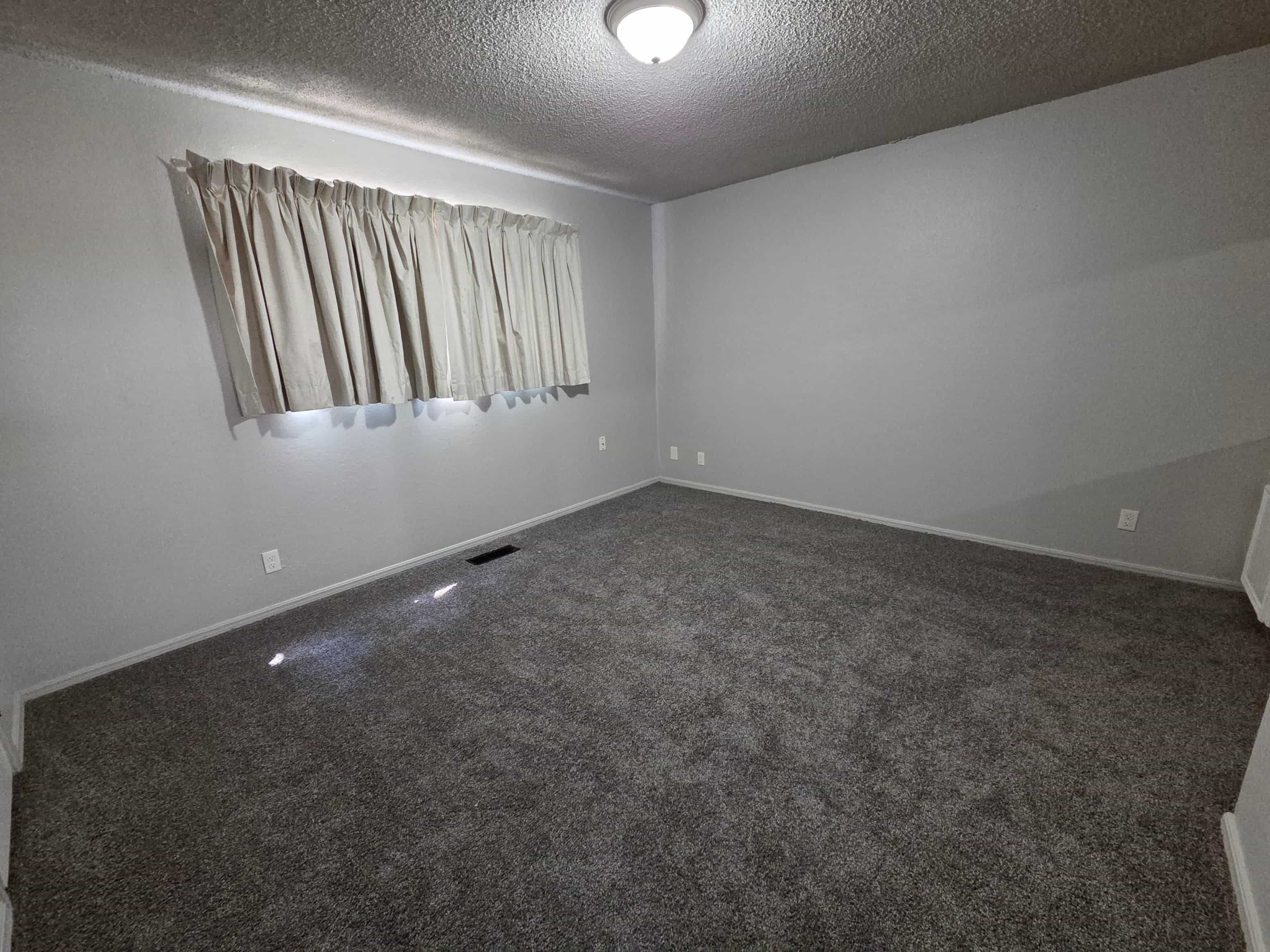 Gallery Photo 8
