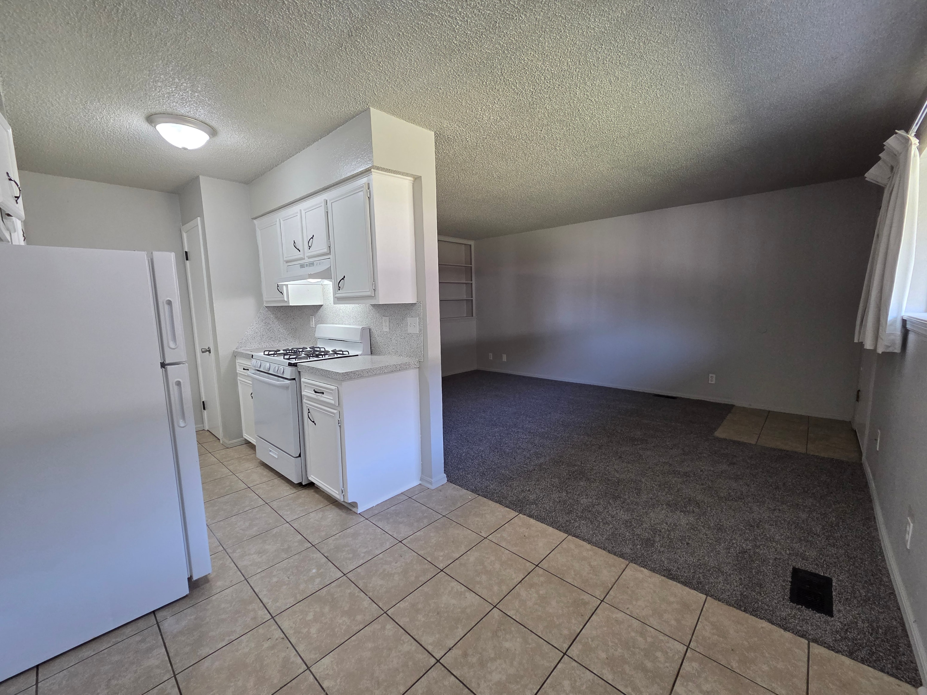 Gallery Photo 35