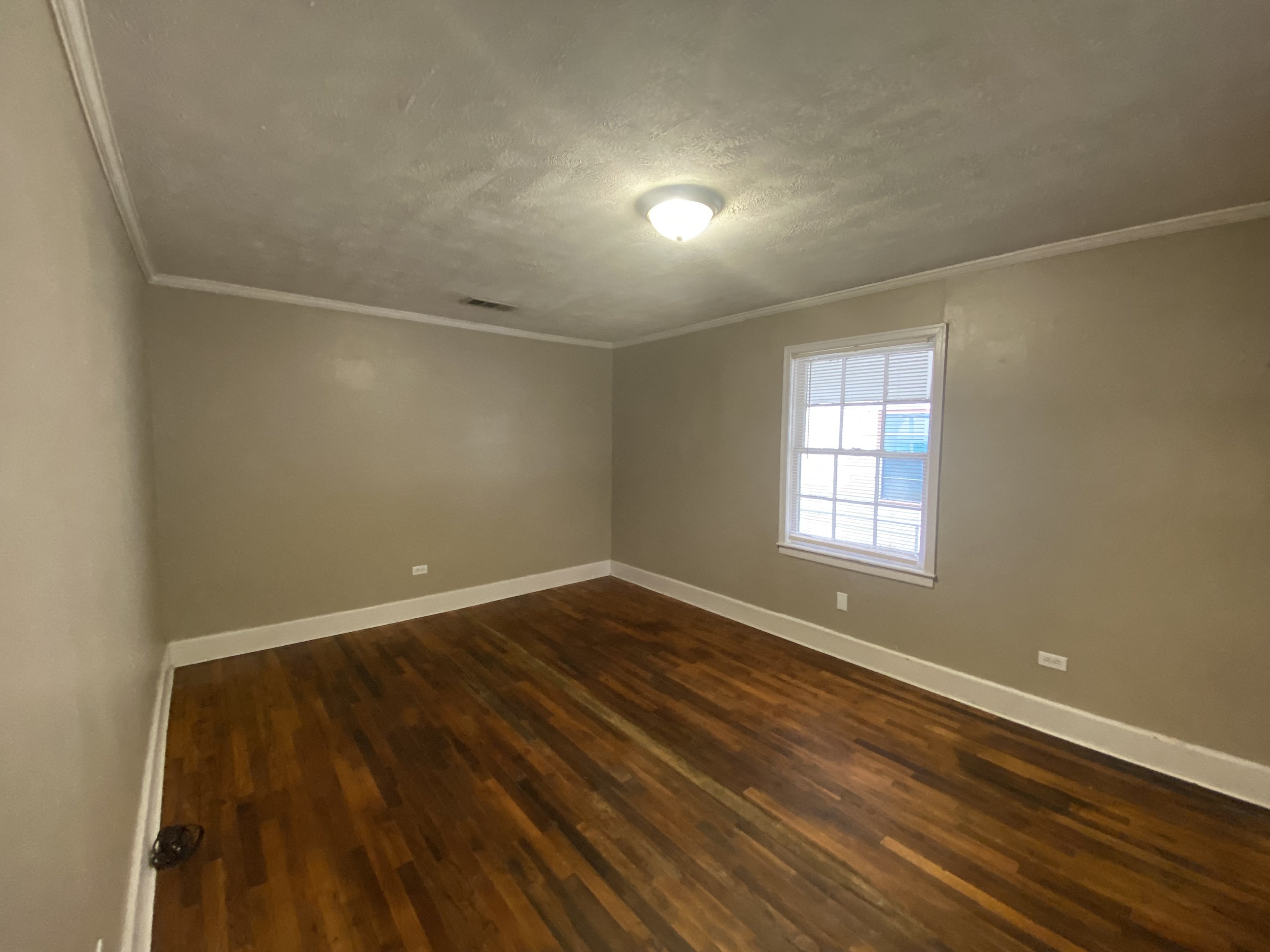 Gallery Photo 4