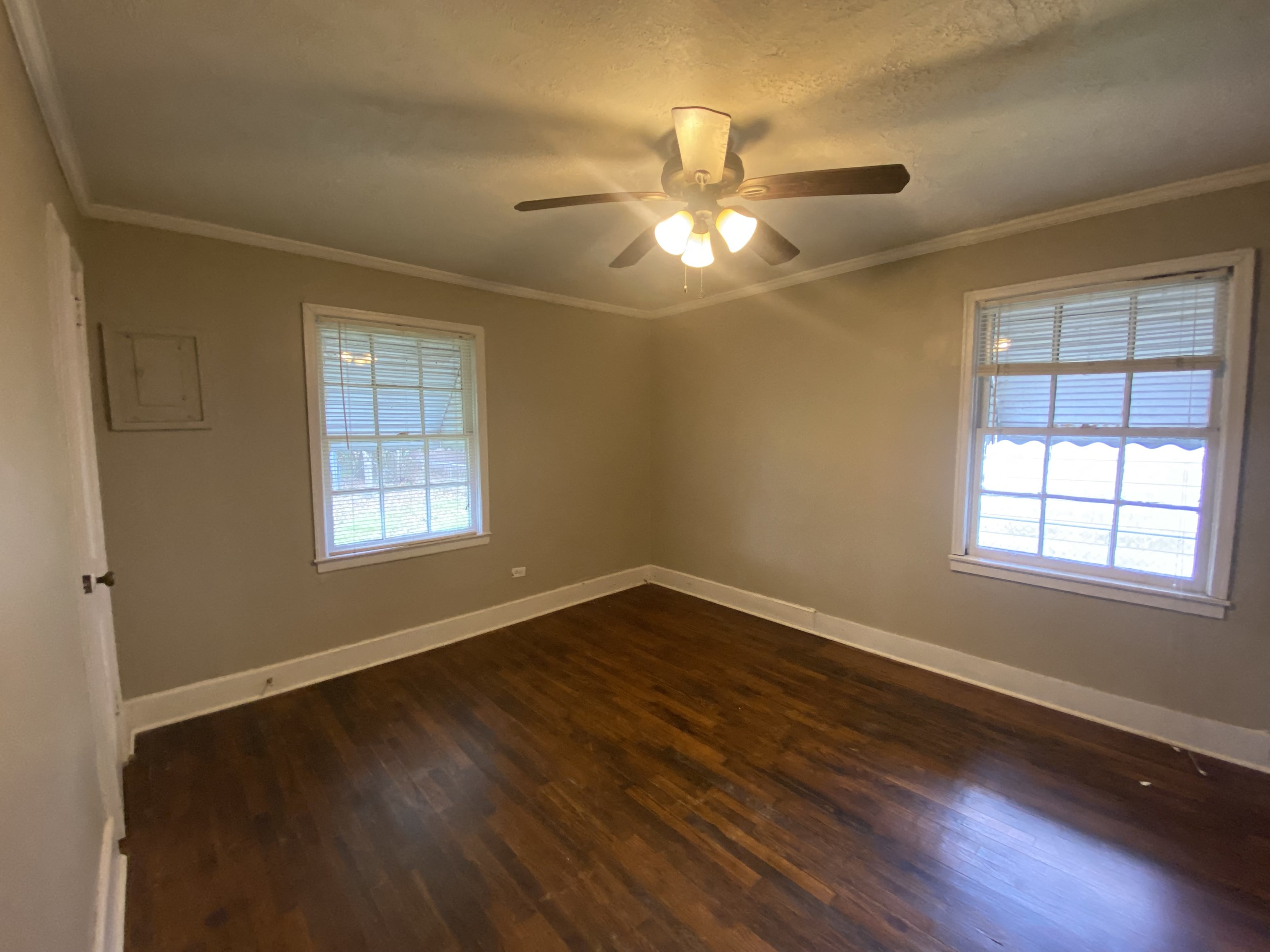 Gallery Photo 2