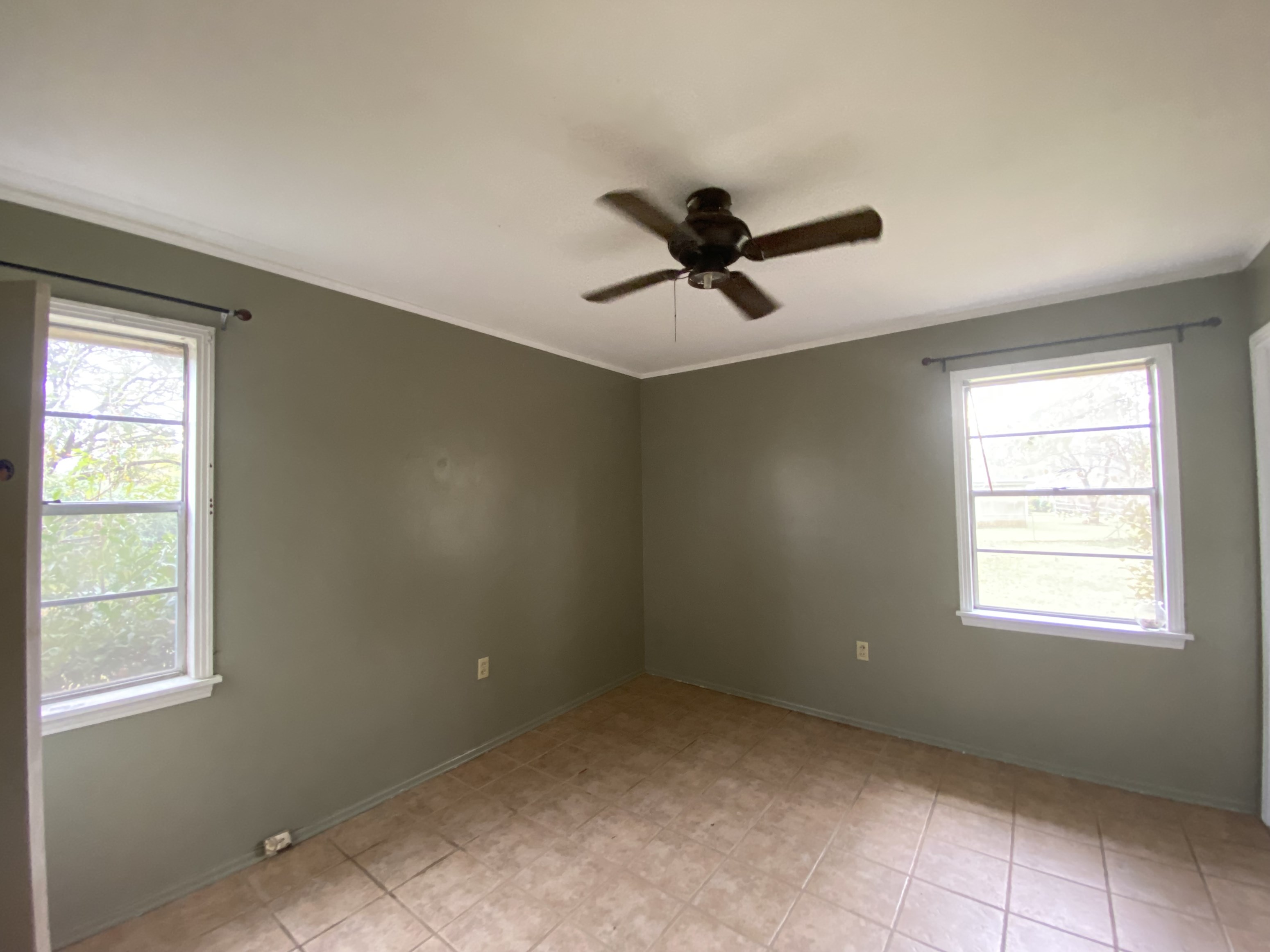 Gallery Photo 3