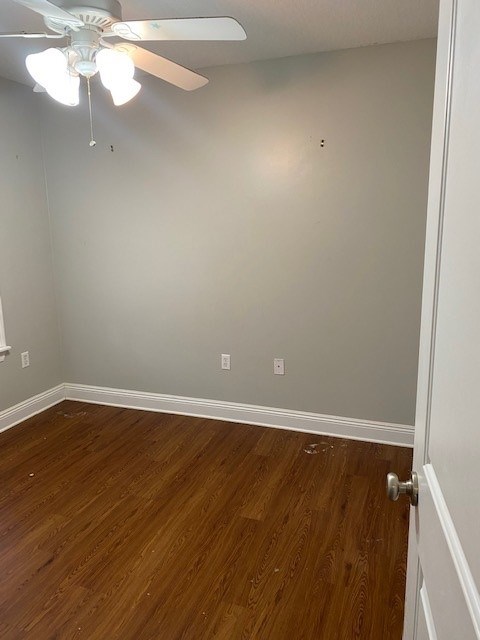 Gallery Photo 13