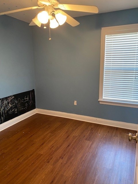 Gallery Photo 16