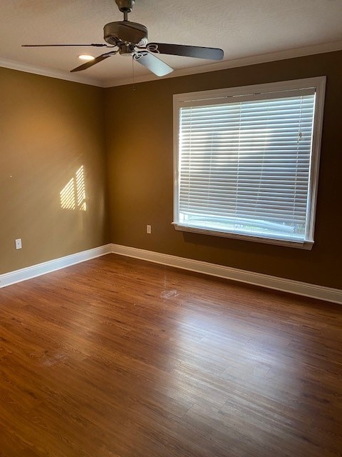 Gallery Photo 1