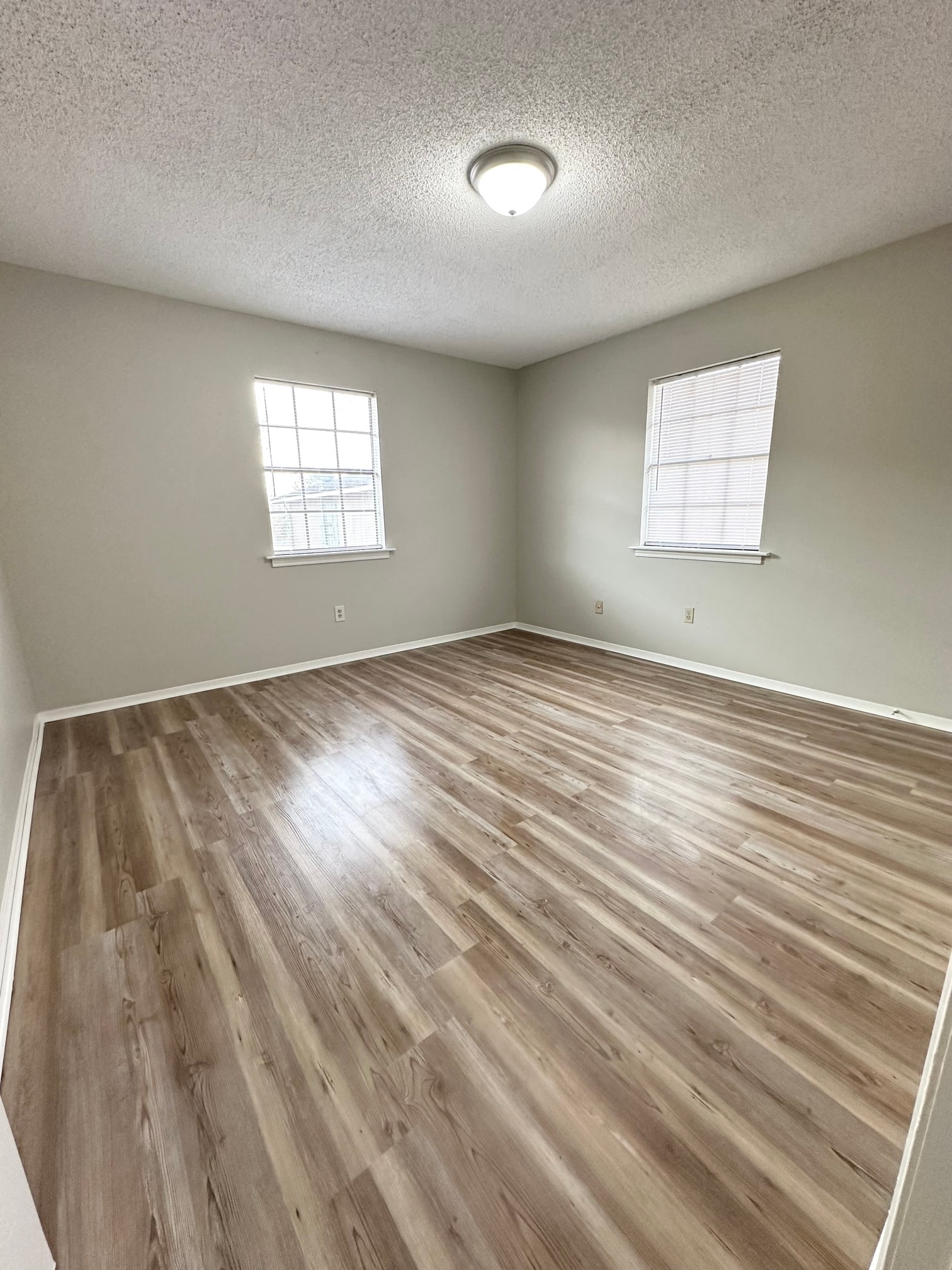 Gallery Photo 4